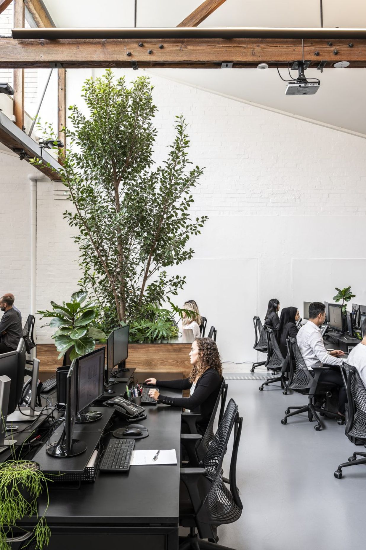 DKO Sydney Studio, Surry Hills NSW