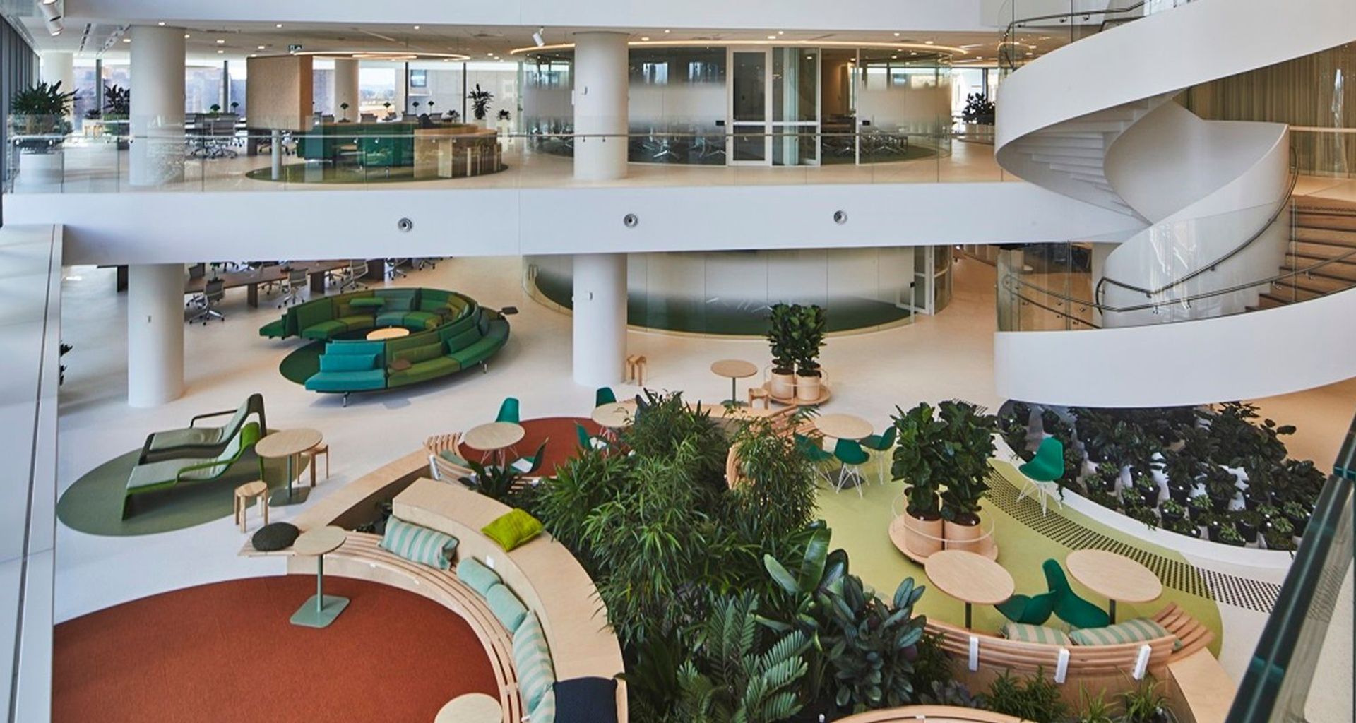 Deloitte Sydney banner