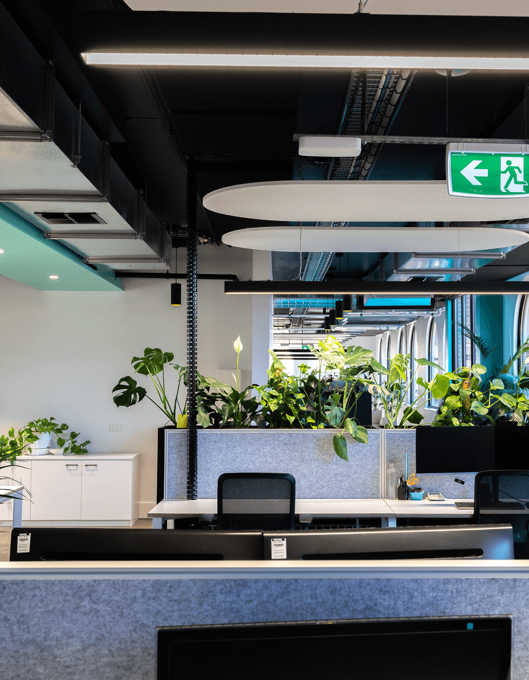 Photography: Andrew Purvis & Unios Lighting