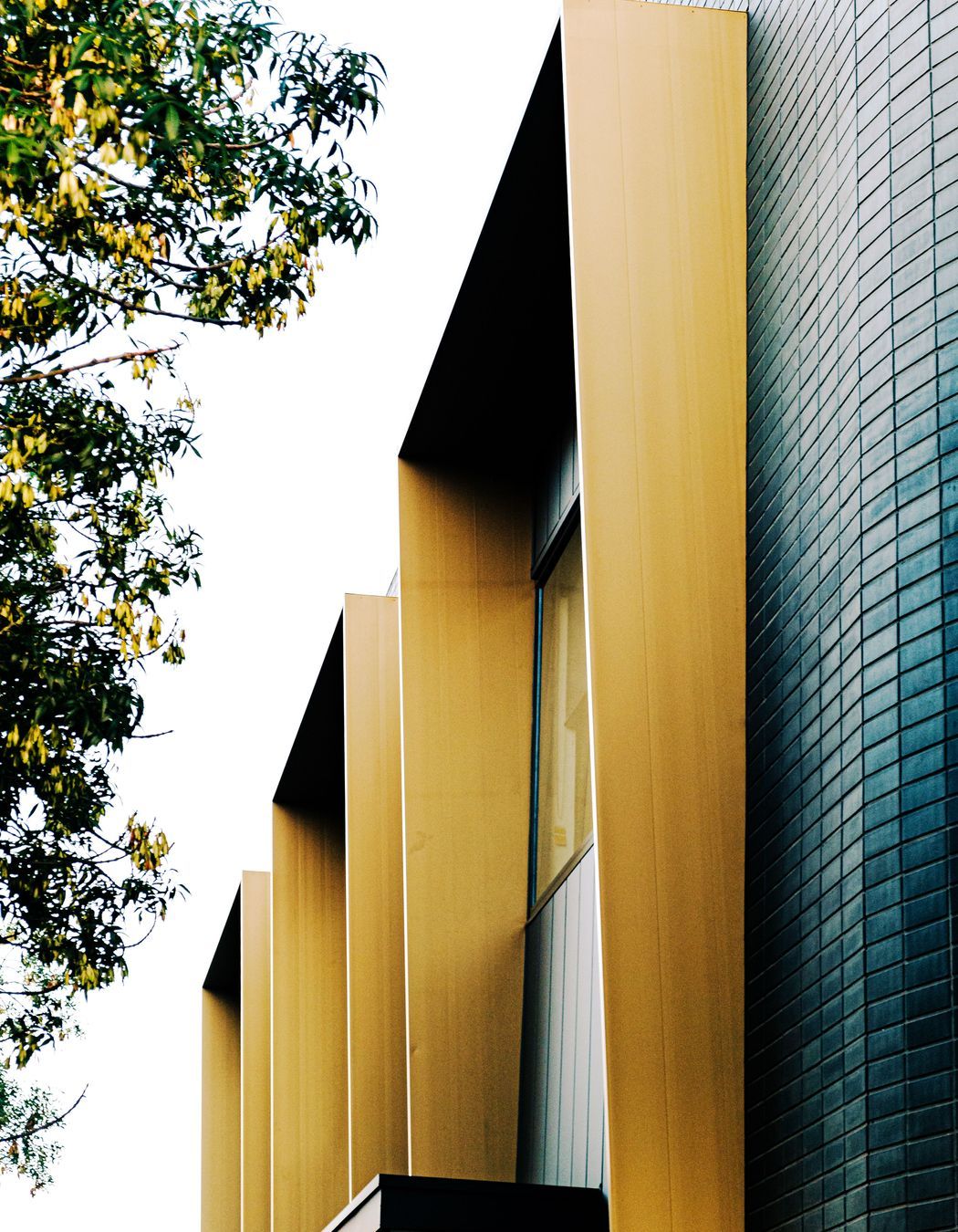 Pascale Legal Offices