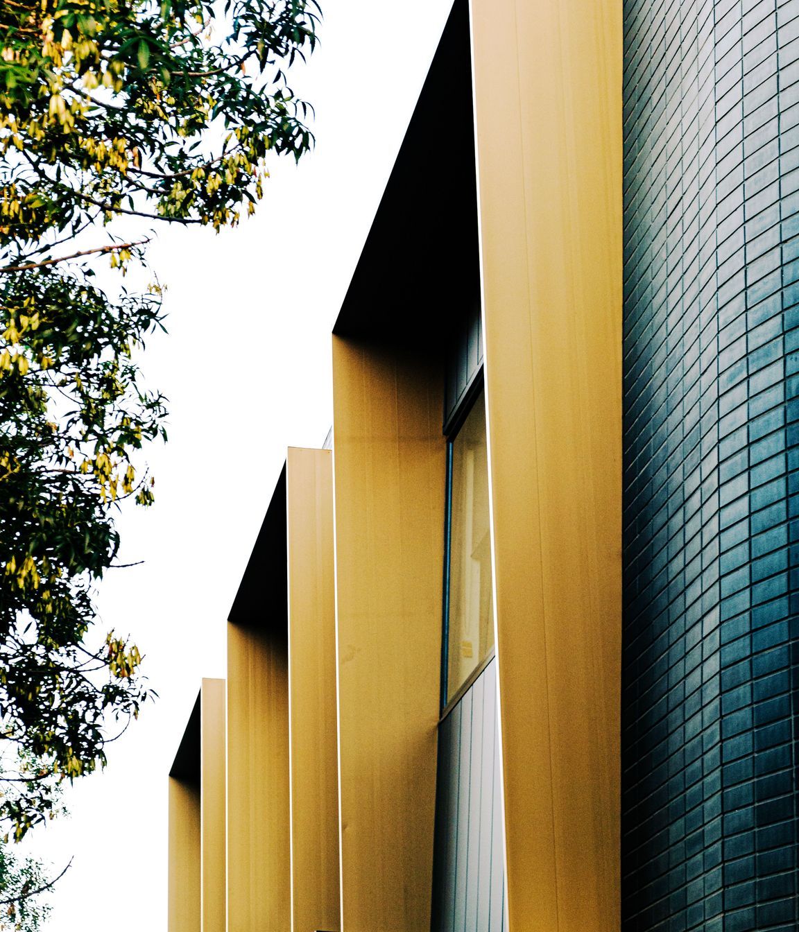 Pascale Legal Offices