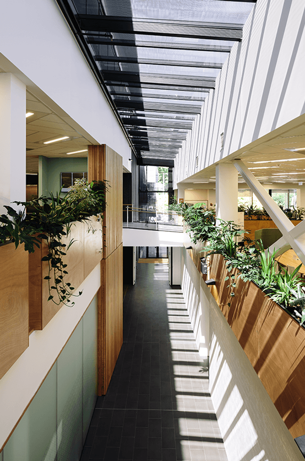 A bright multi-level interior atrium or circulation corridor with a long glazed roof, white structural walls, dark tiled flooring, timber-lined planter boxes, and abundant integrated greenery. Walkways and open office-like areas overlook a central void, with strong linear sunlight and shadows creating a contemporary, biophilic workplace atmosphere.