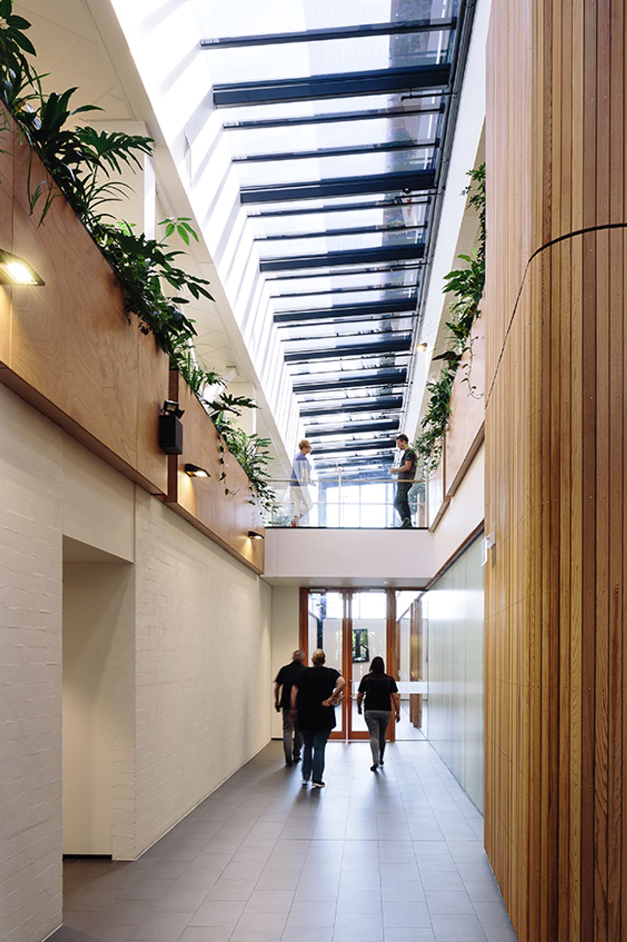 Considered planting within the atrium softens hard surfaces and acts, visually, as a continuation of the Green Frame, connecting occupants with this natural element.