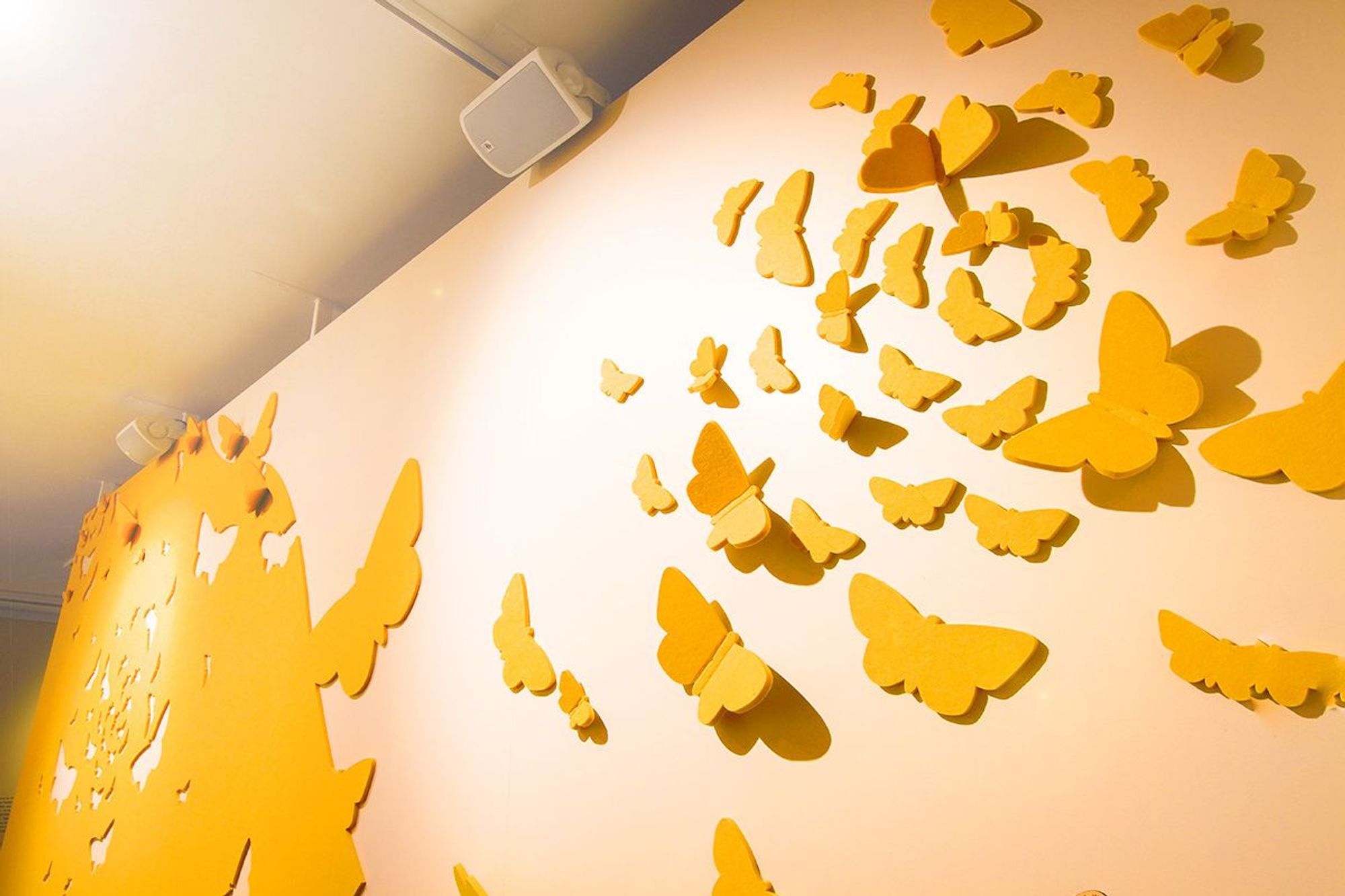 Auckland War Museum - Secret World Of Butterflies