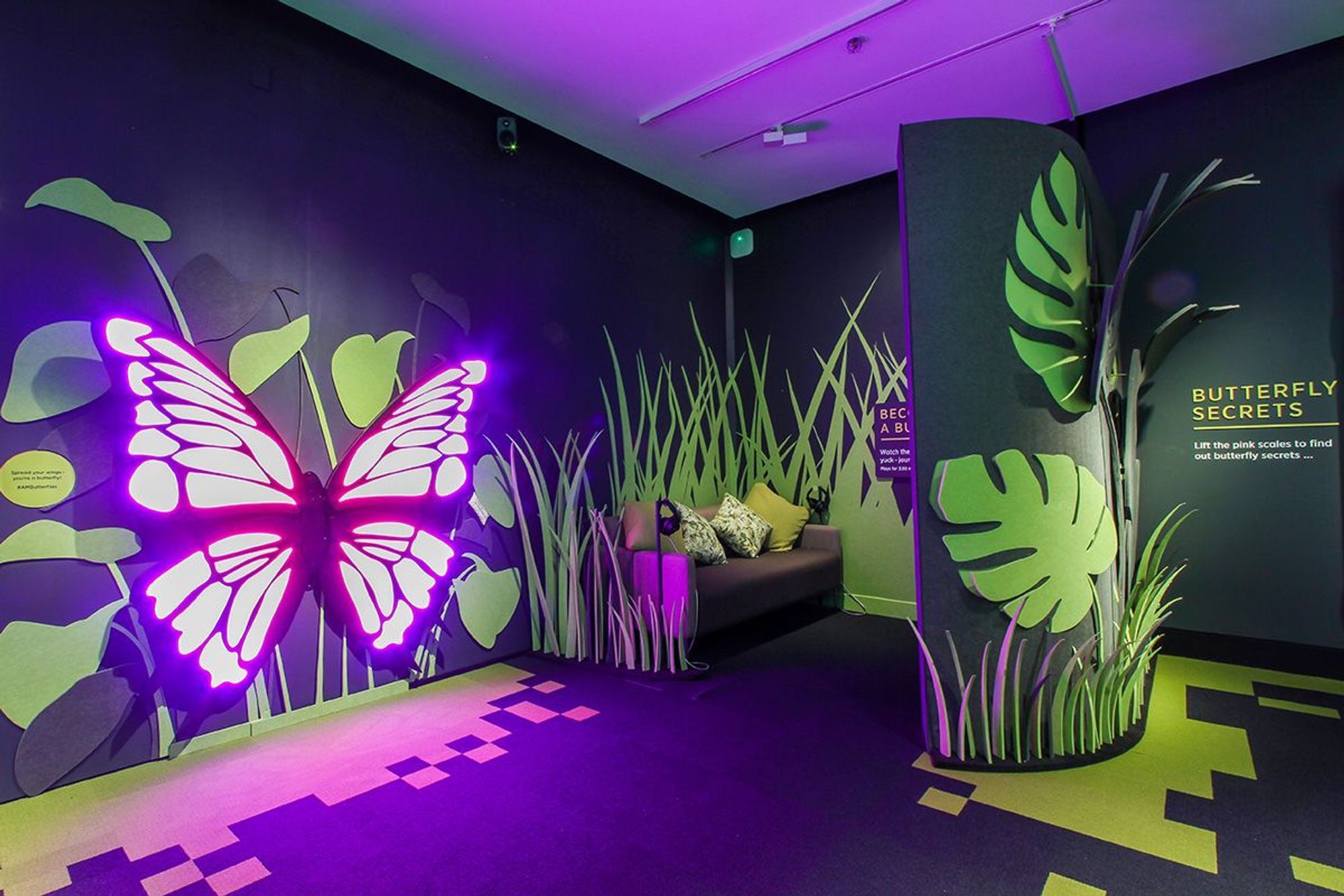 Auckland War Museum - Secret World Of Butterflies