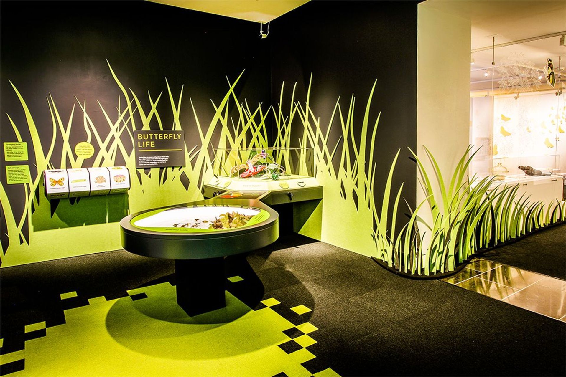 Auckland War Museum - Secret World Of Butterflies