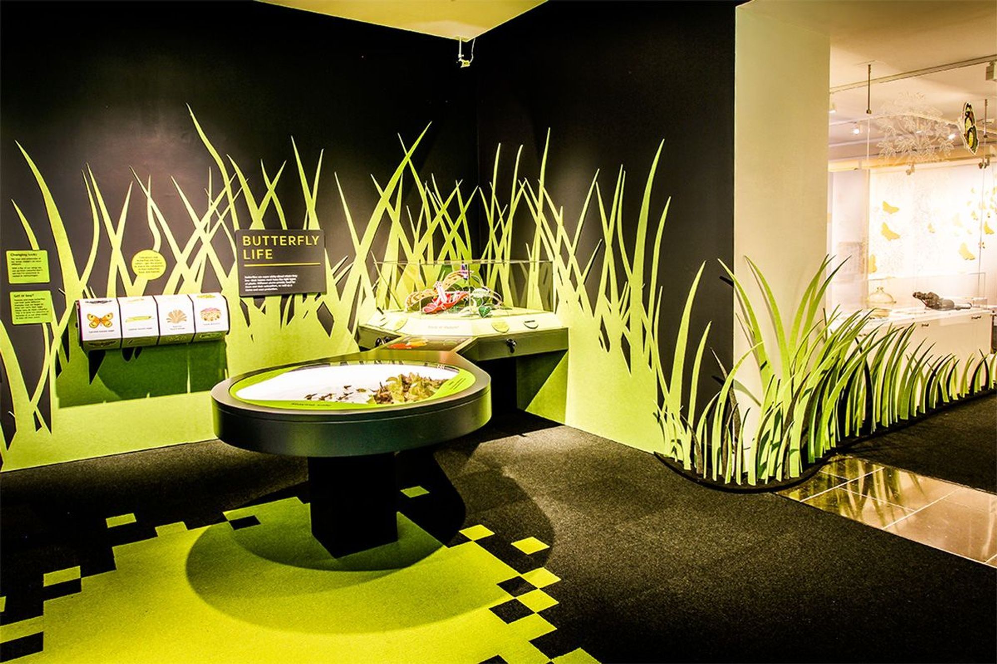 Auckland War Museum - Secret World Of Butterflies