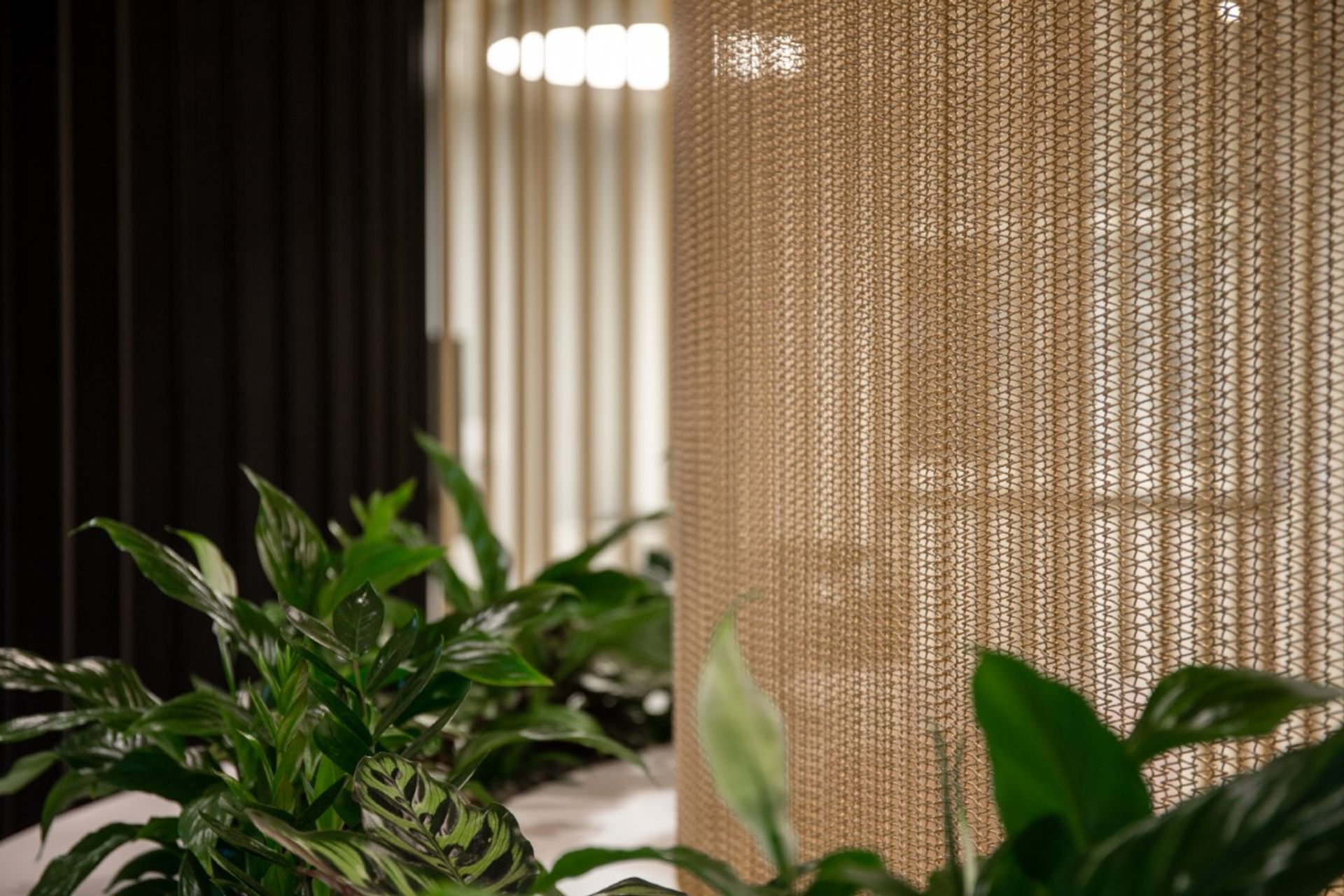 Detail - brass mesh reception desk screen