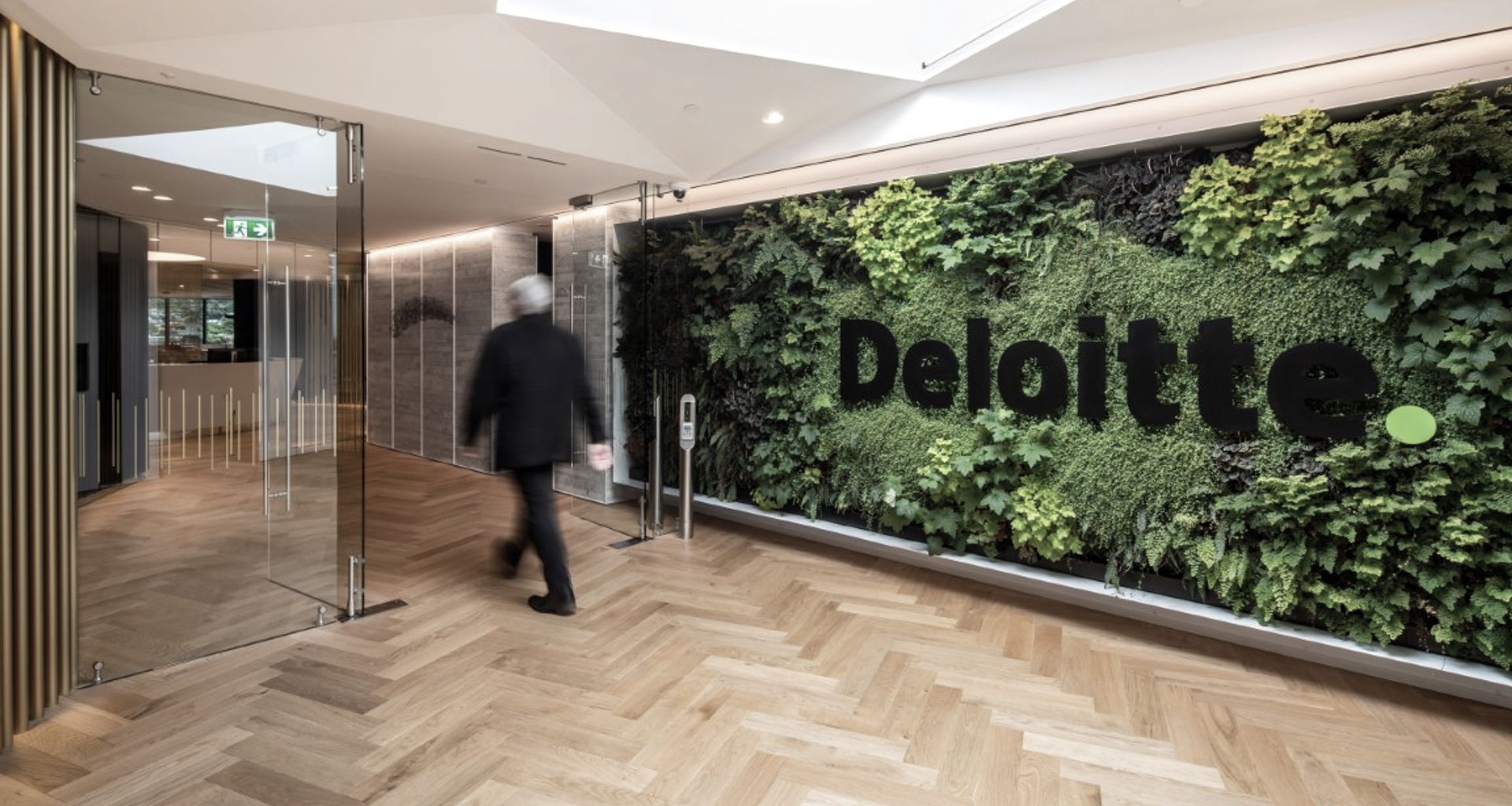 Deloitte Dunedin banner