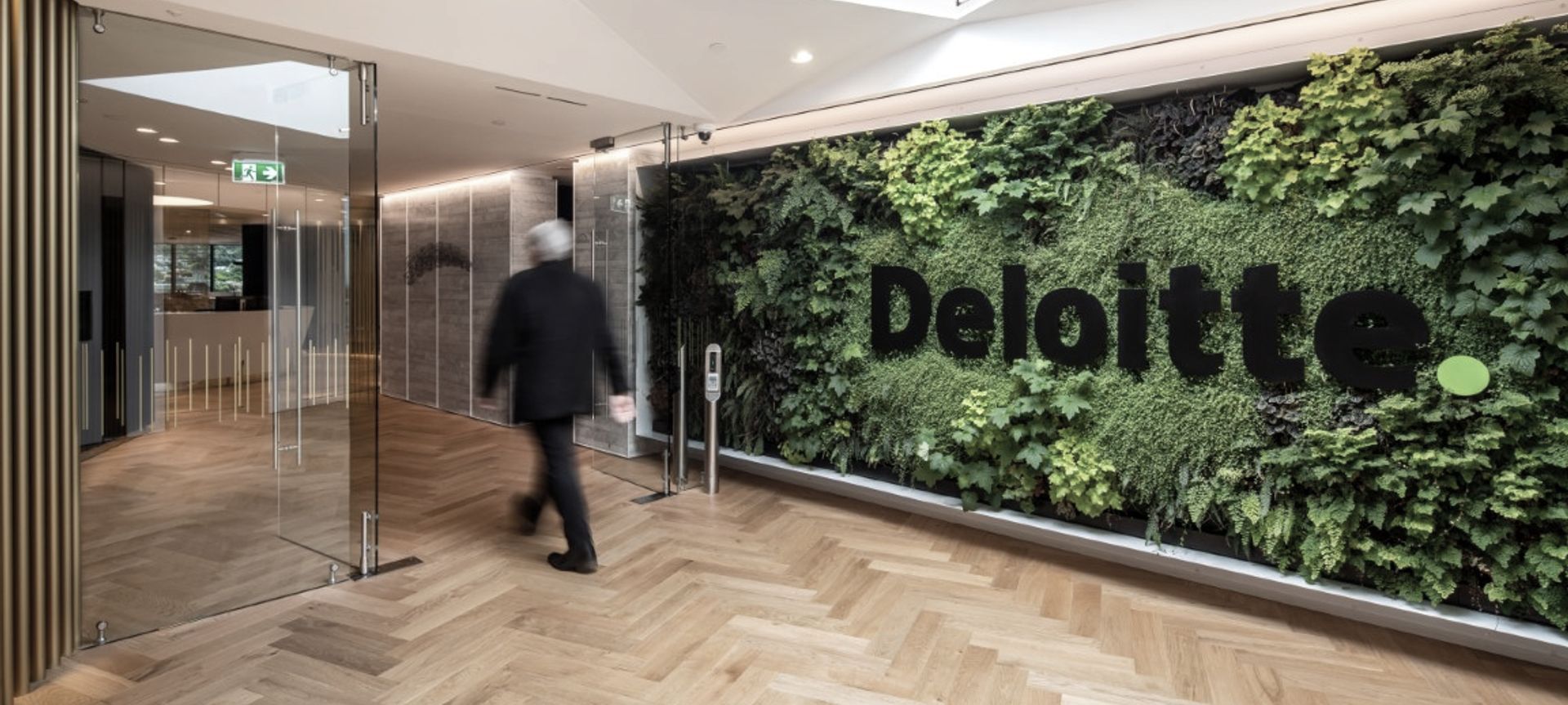 Deloitte Dunedin banner