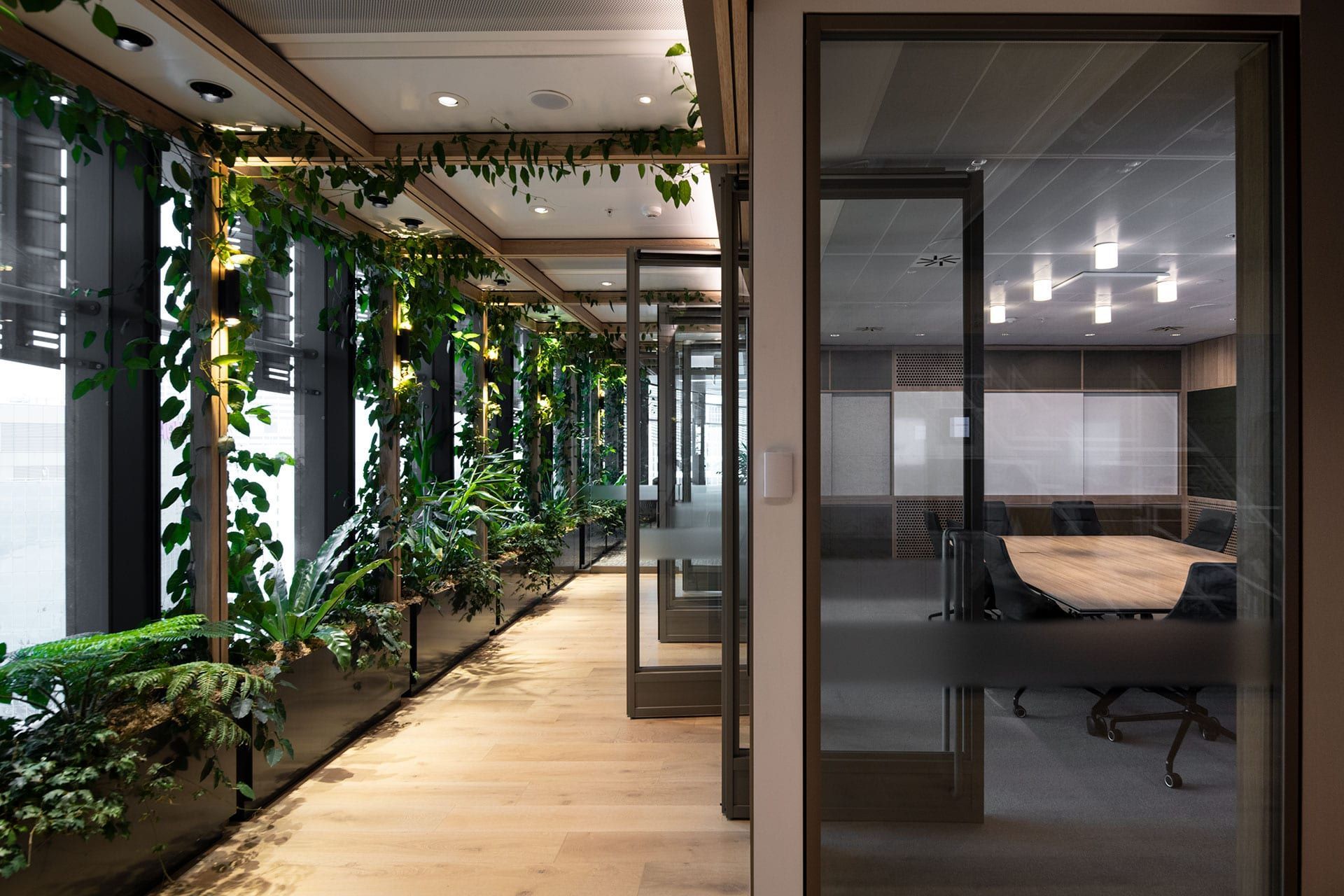 Carpe Diem at International Towers, Sydney