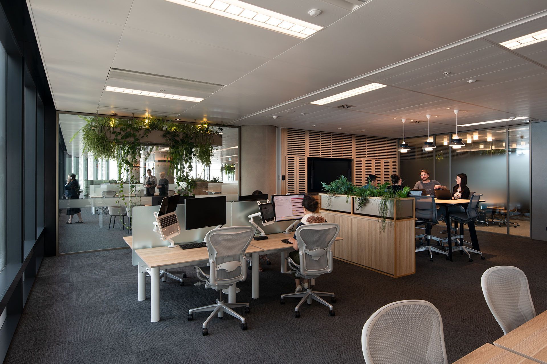 Carpe Diem at International Towers, Sydney