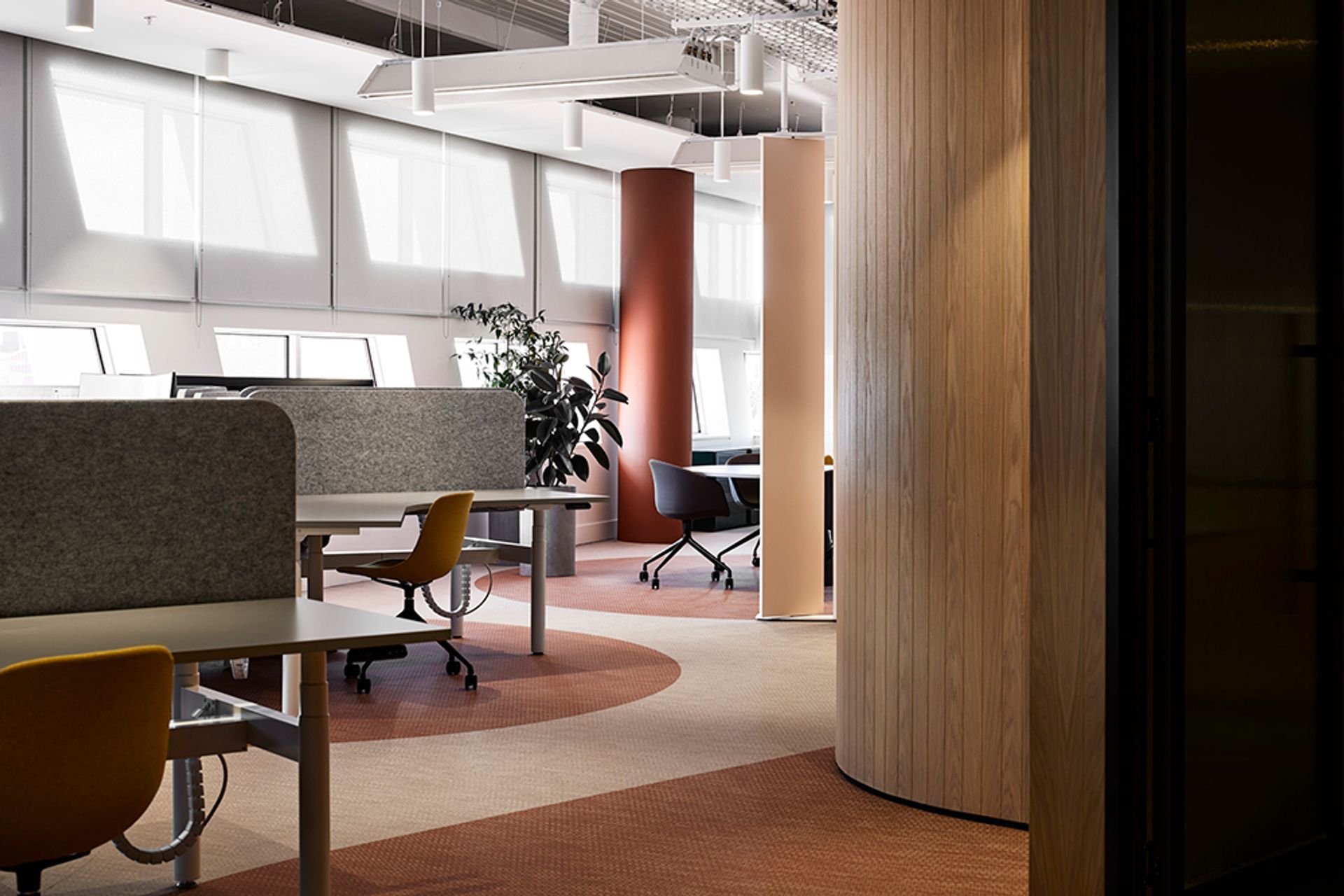 RMBL Office