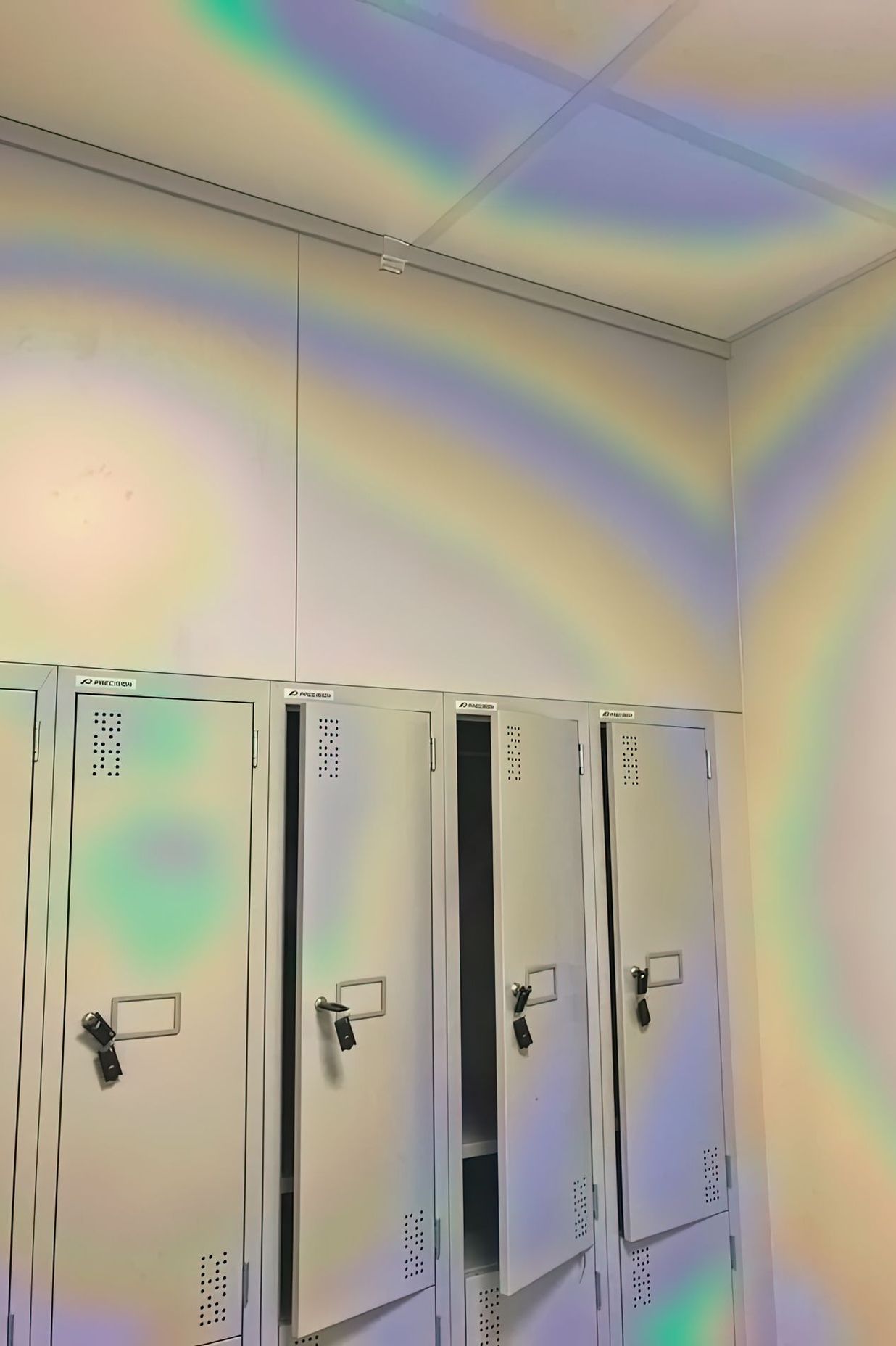 Sinlait | Office Fitout