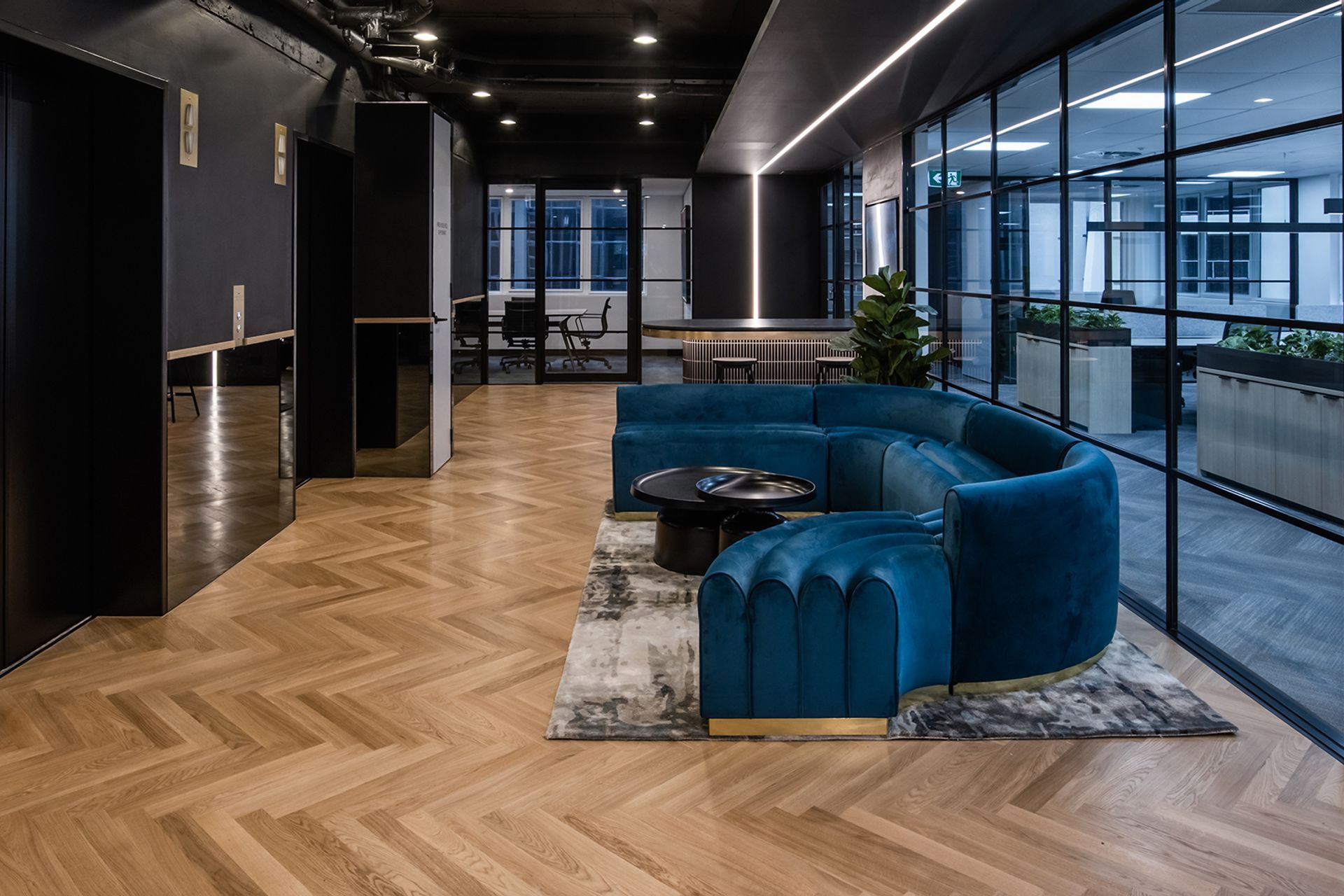 Avant-Garde Office Fitout, QLD