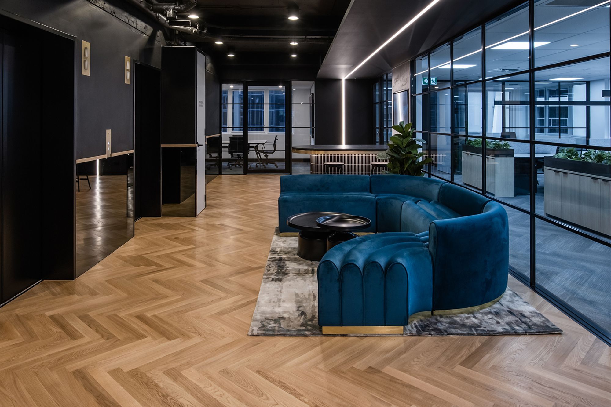 Avant-Garde Office Fitout, QLD