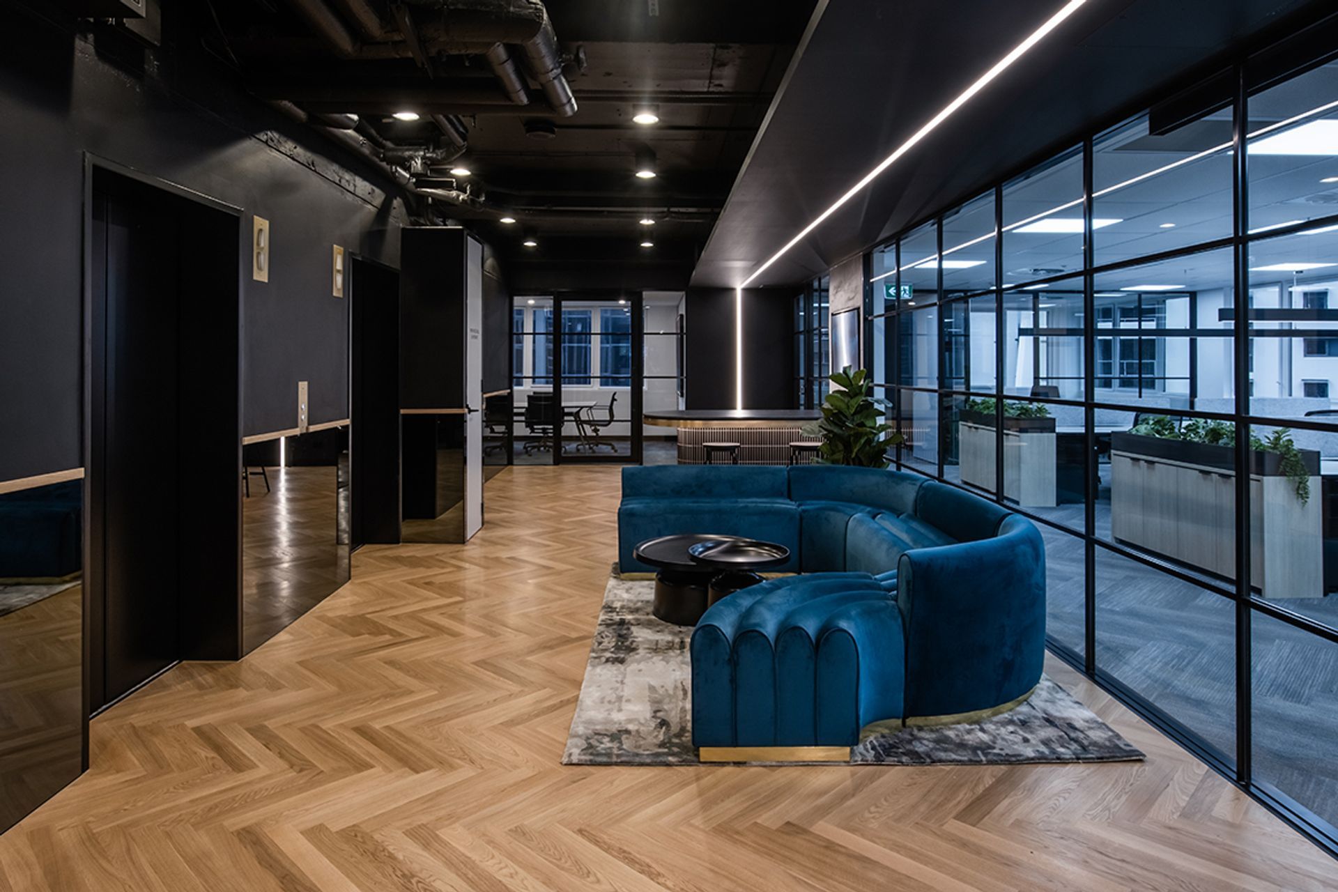 Avant-Garde Office Fitout, QLD