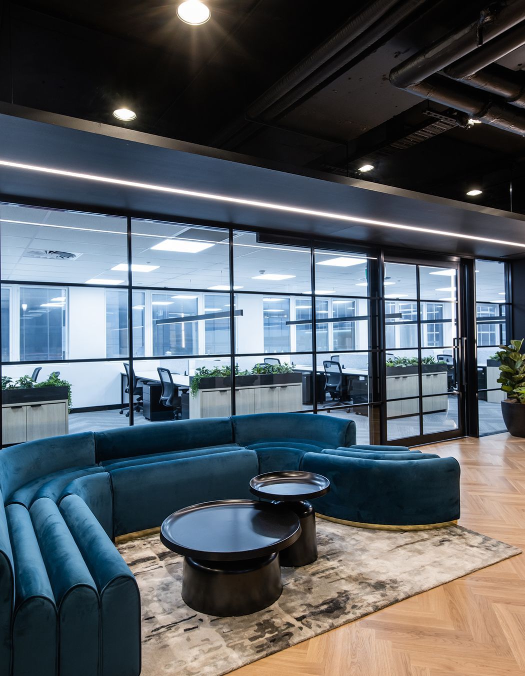 Avant-Garde Office Fitout, QLD