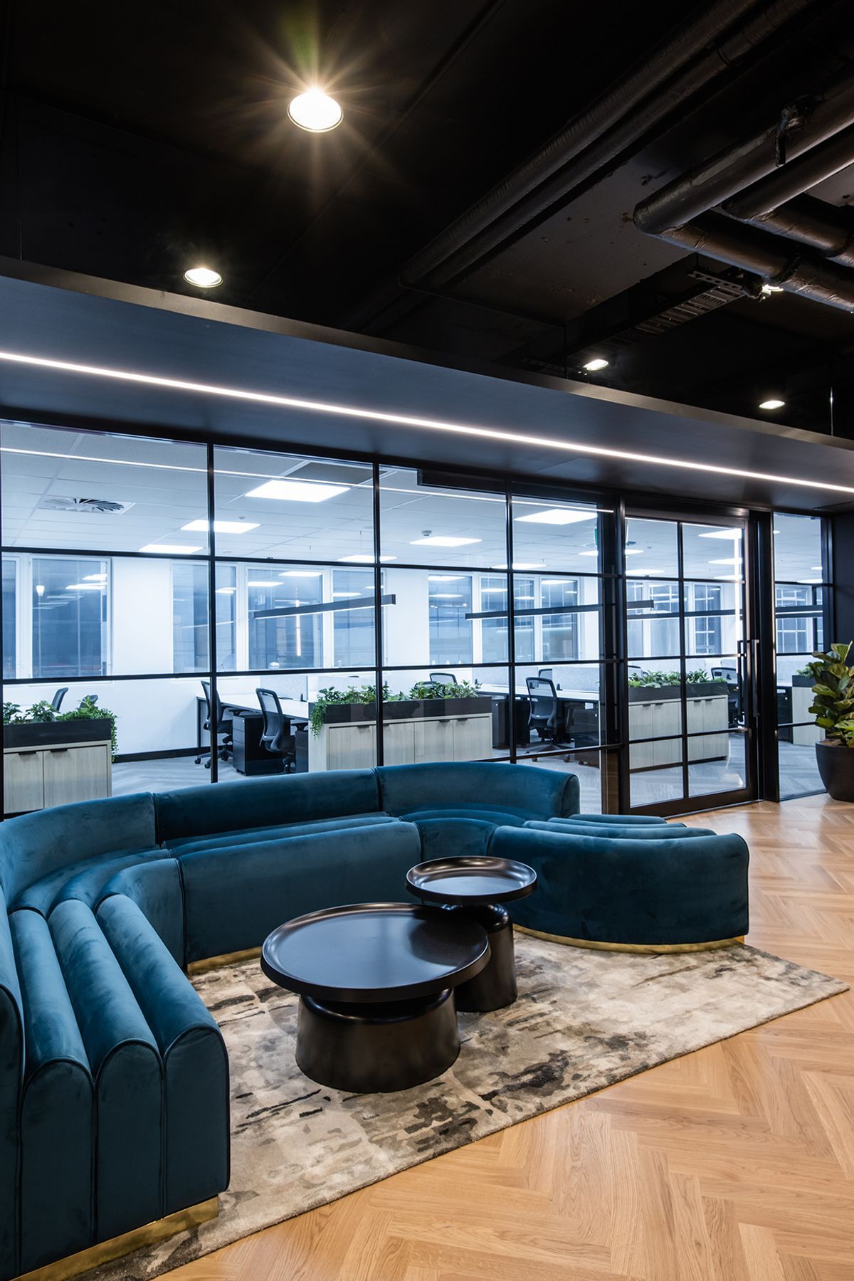 Avant-Garde Office Fitout, QLD
