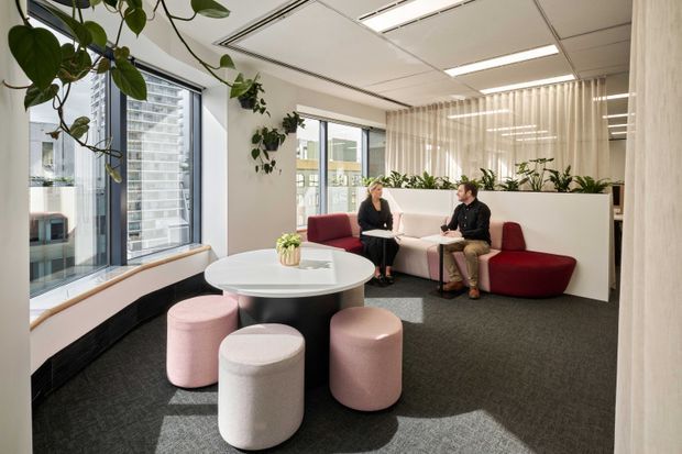 Bright contemporary commercial lounge or reception area with floor-to-ceiling windows overlooking an urban setting. The space features a curved burgundy upholstered banquette, round white table, blush and white cylindrical stools, dark carpet, indoor plants, a white partition with planter, and sheer vertical blinds. Suspended ceiling panels and linear fluorescent lighting reinforce the office fit-out.