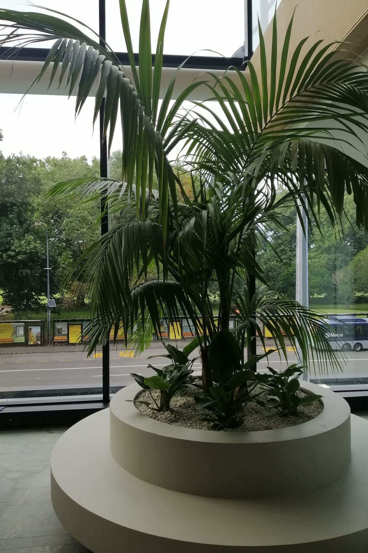 Southern Cross by Hire Plants ArchiPro NZ