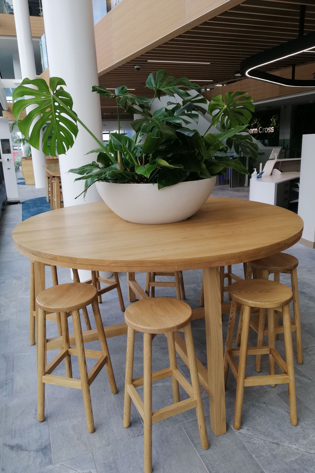 Southern Cross by Hire Plants ArchiPro NZ