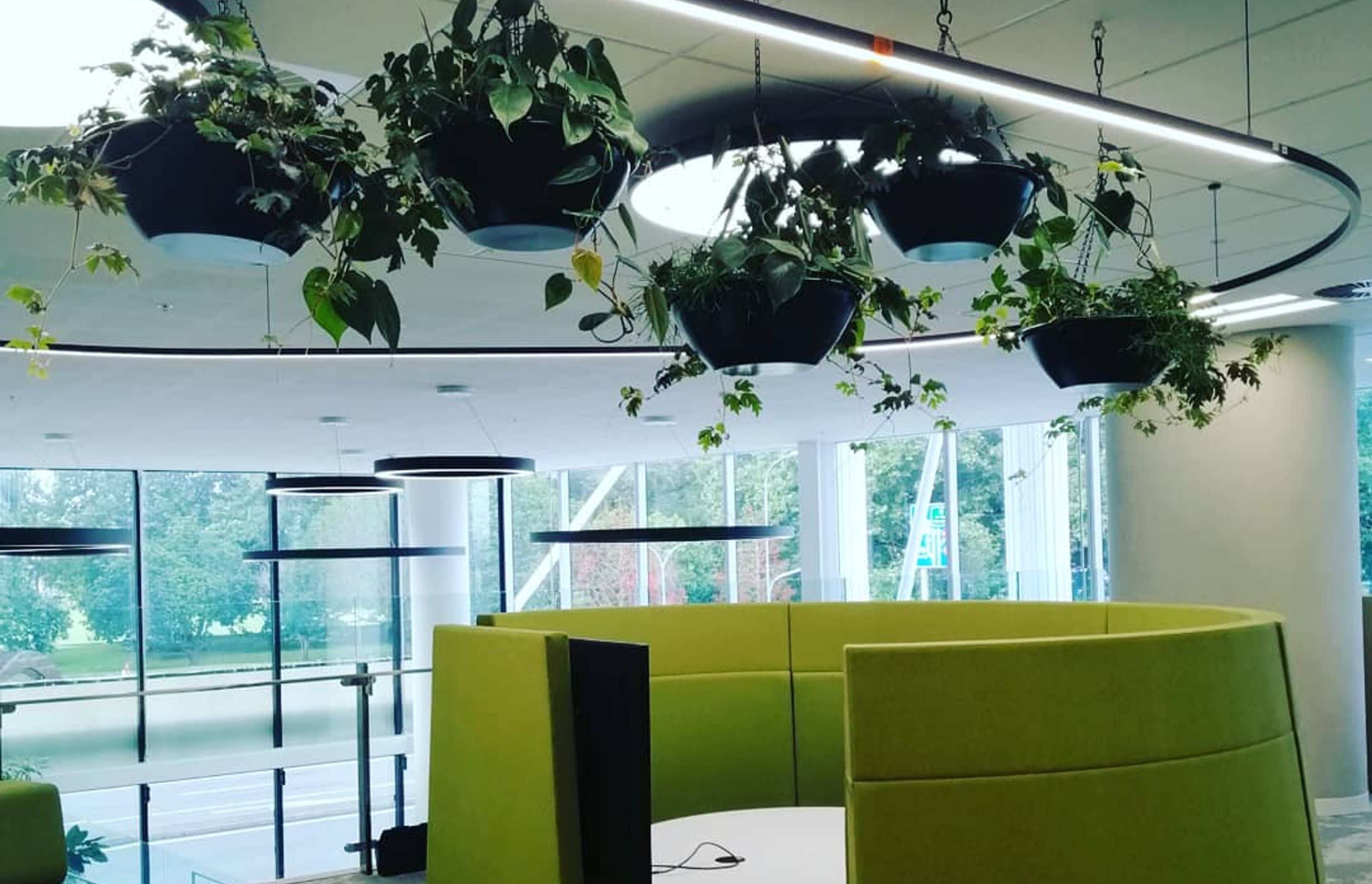 Southern Cross by Hire Plants ArchiPro NZ