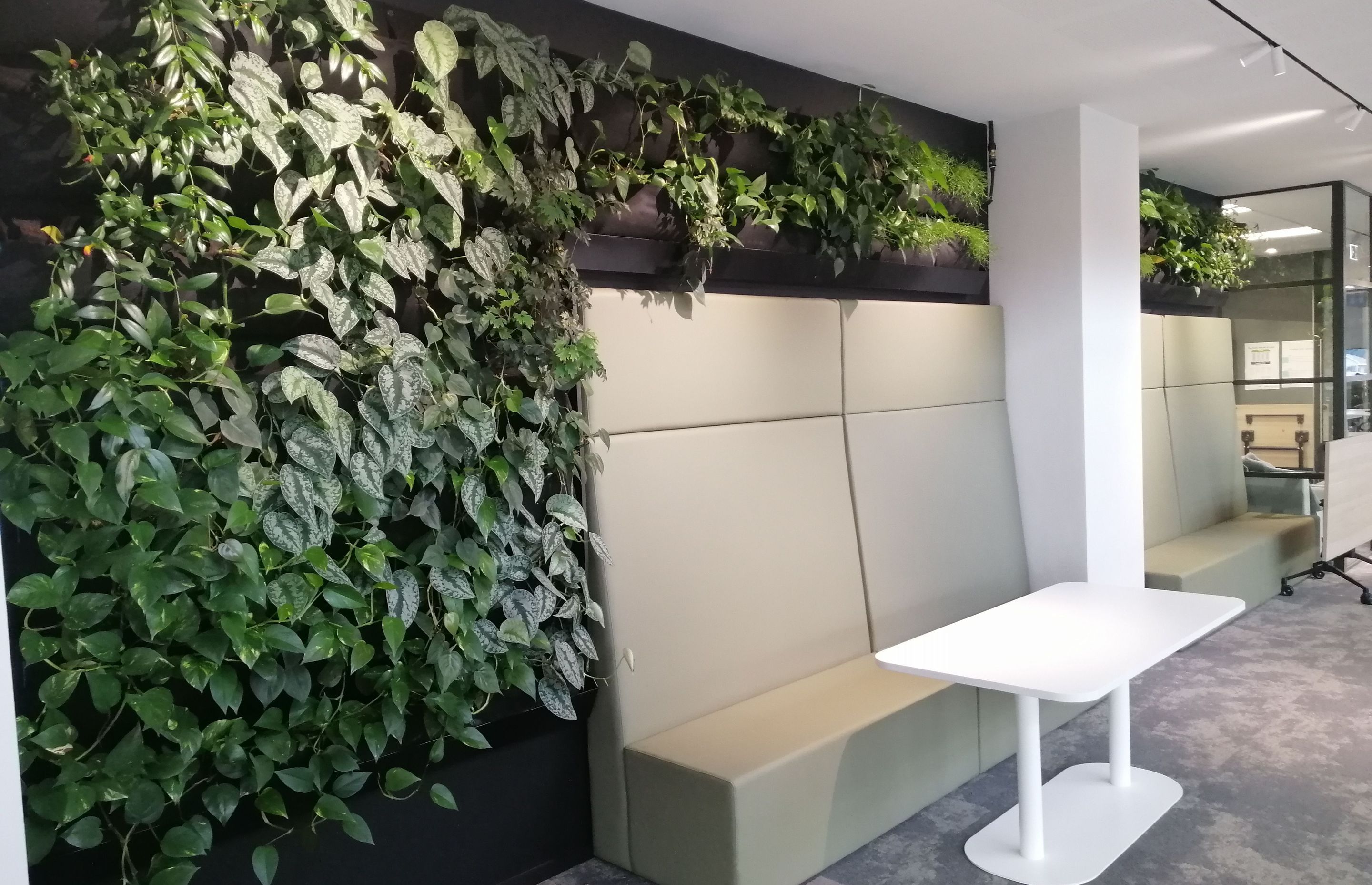 Southern Cross by Hire Plants ArchiPro NZ