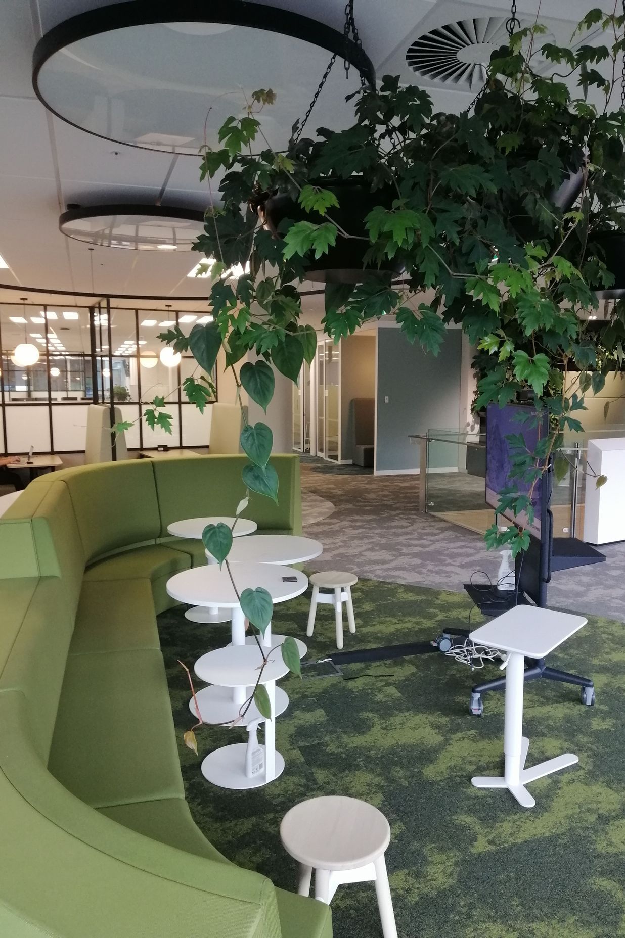 Southern Cross by Hire Plants ArchiPro NZ