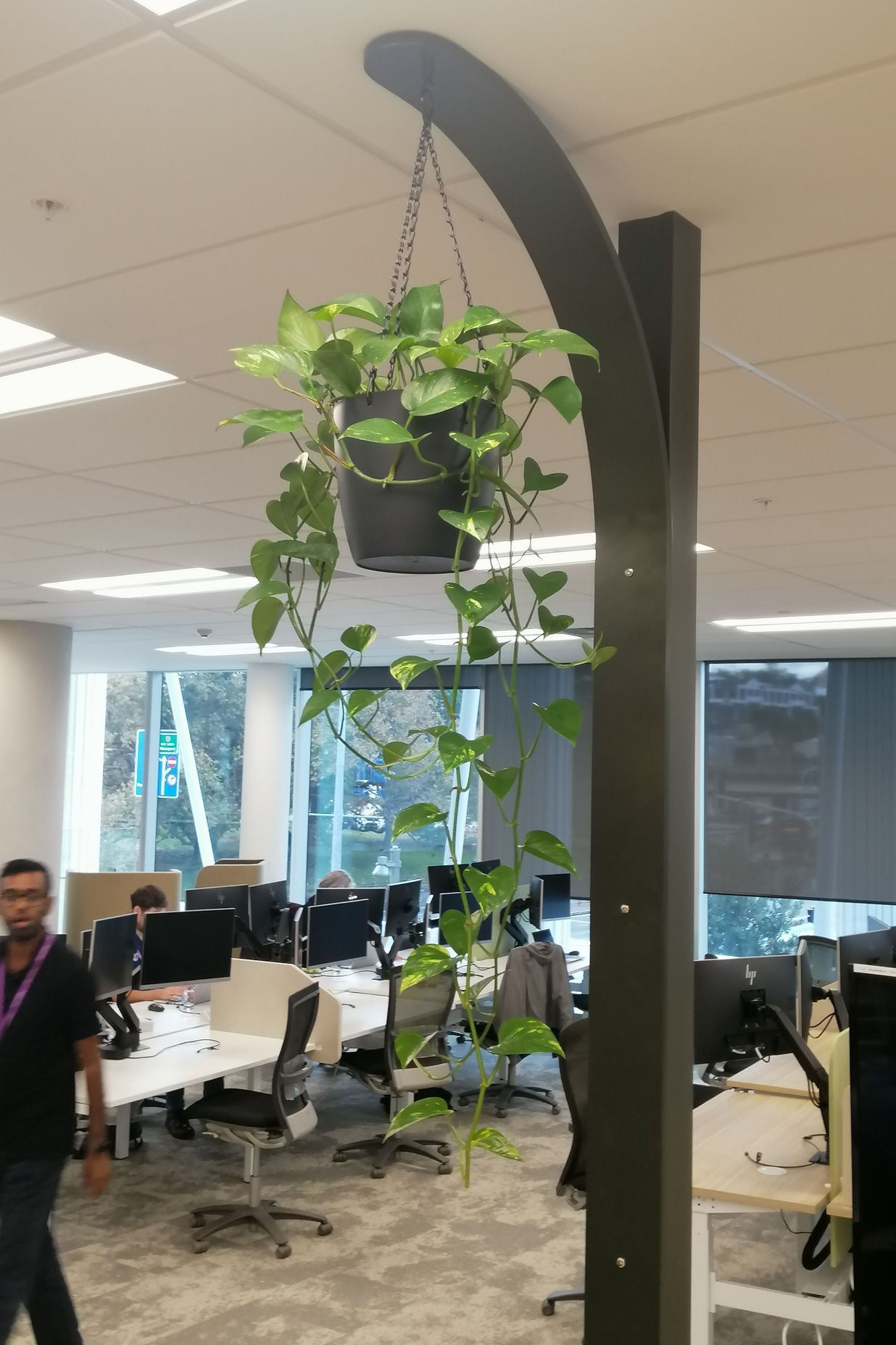Southern Cross by Hire Plants ArchiPro NZ