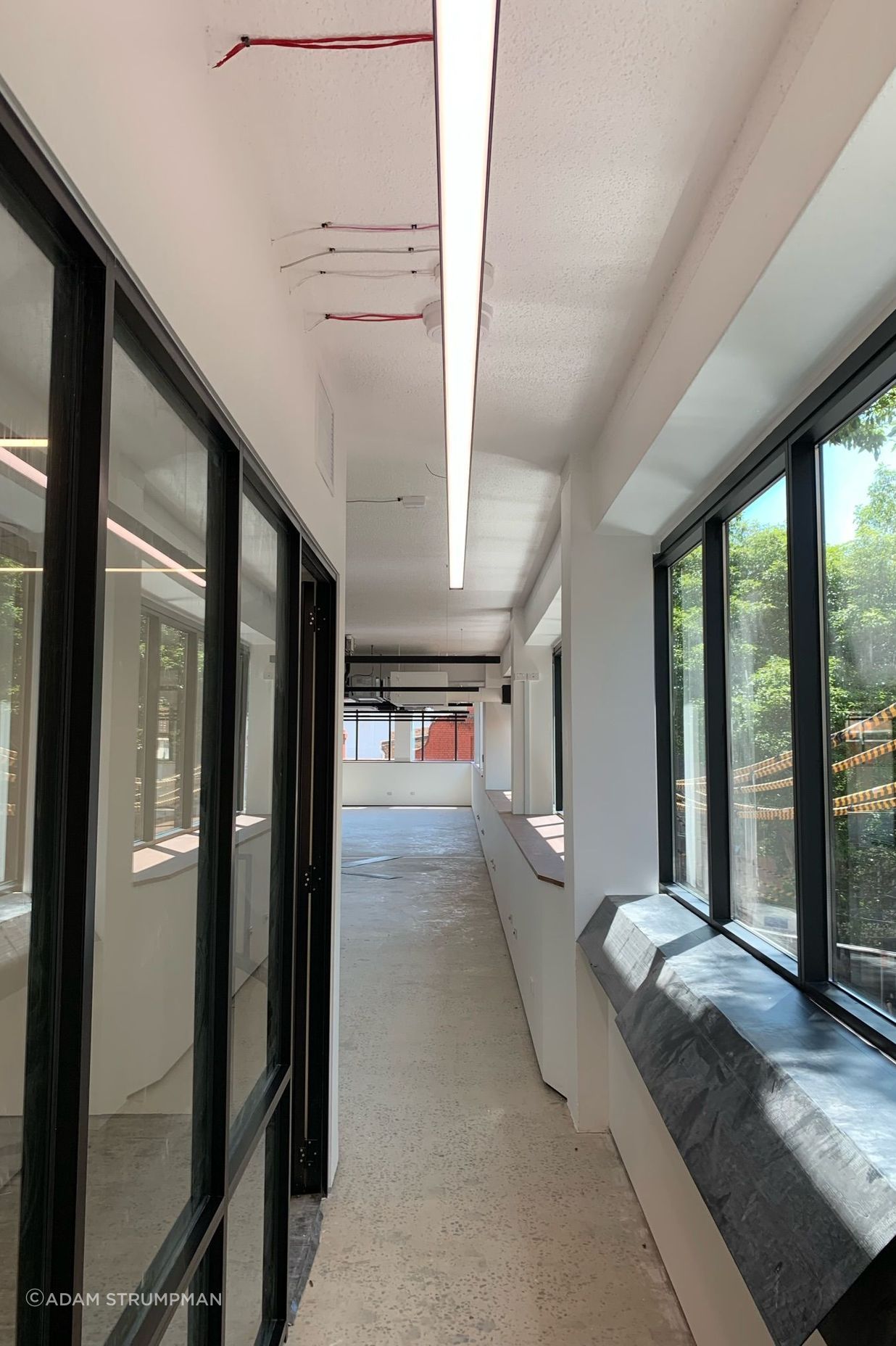 The Canva Offices in Surry Hills