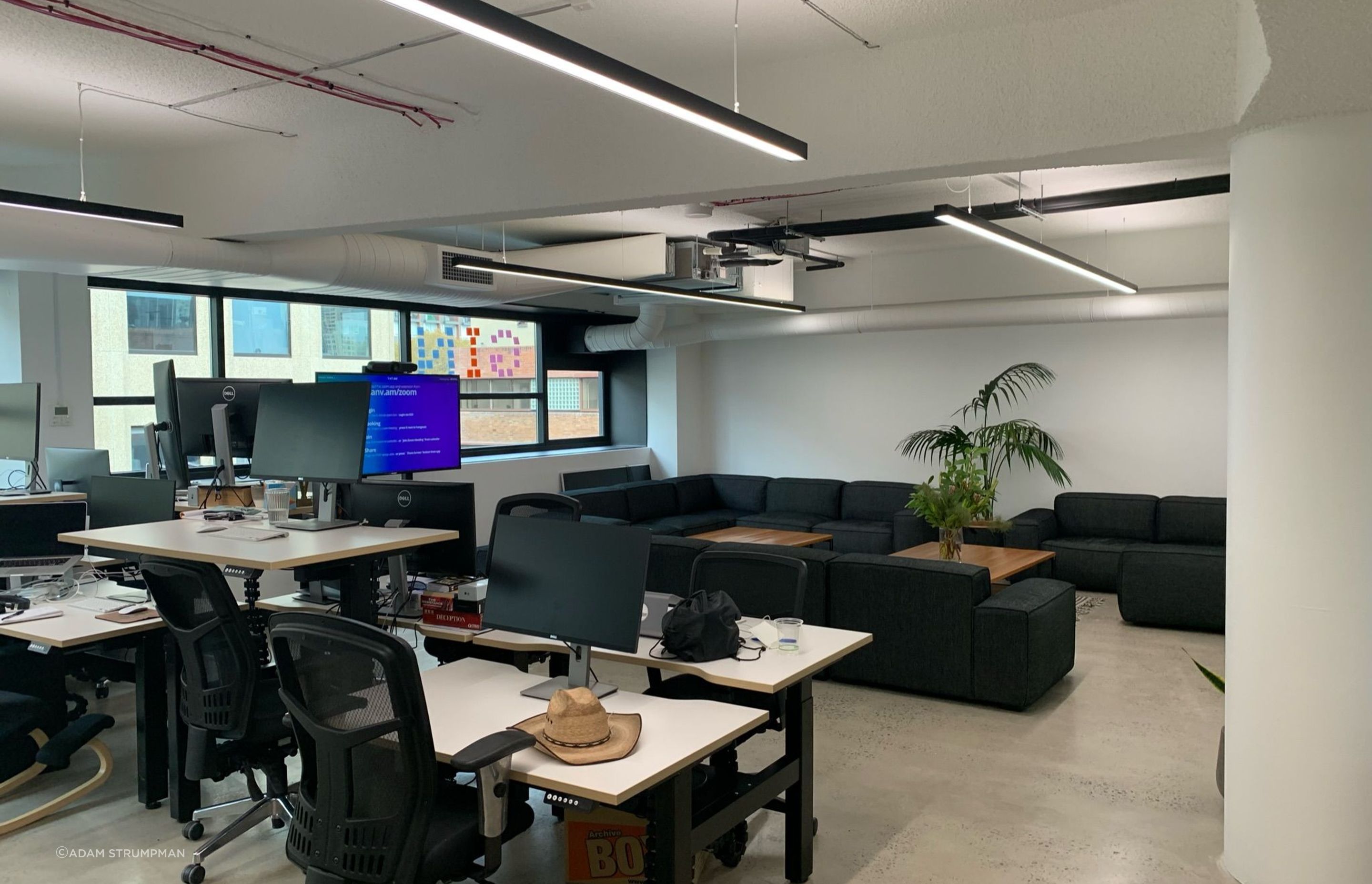 The Canva Offices in Surry Hills