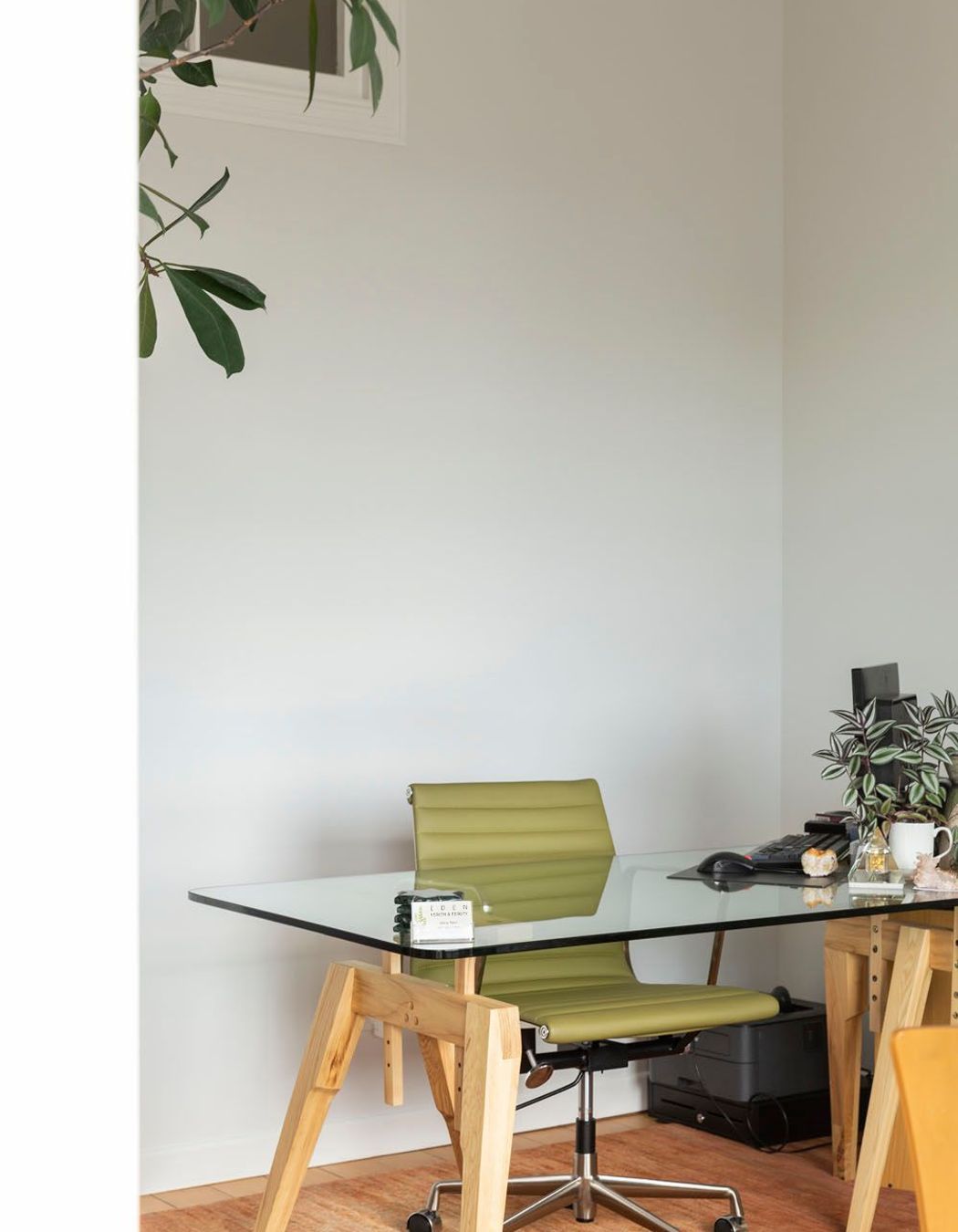 Divine Temple Clinic