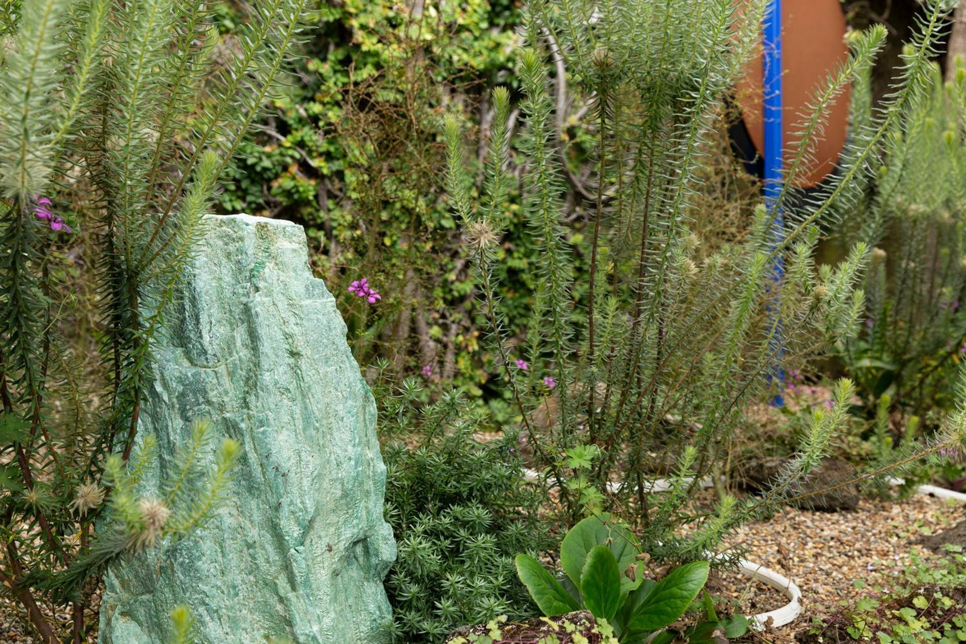 Divine Temple Clinic