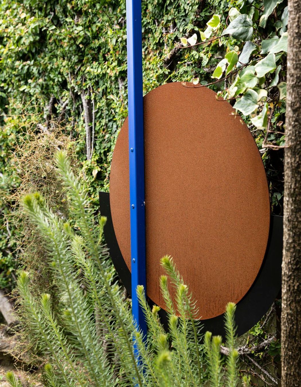 Divine Temple Clinic