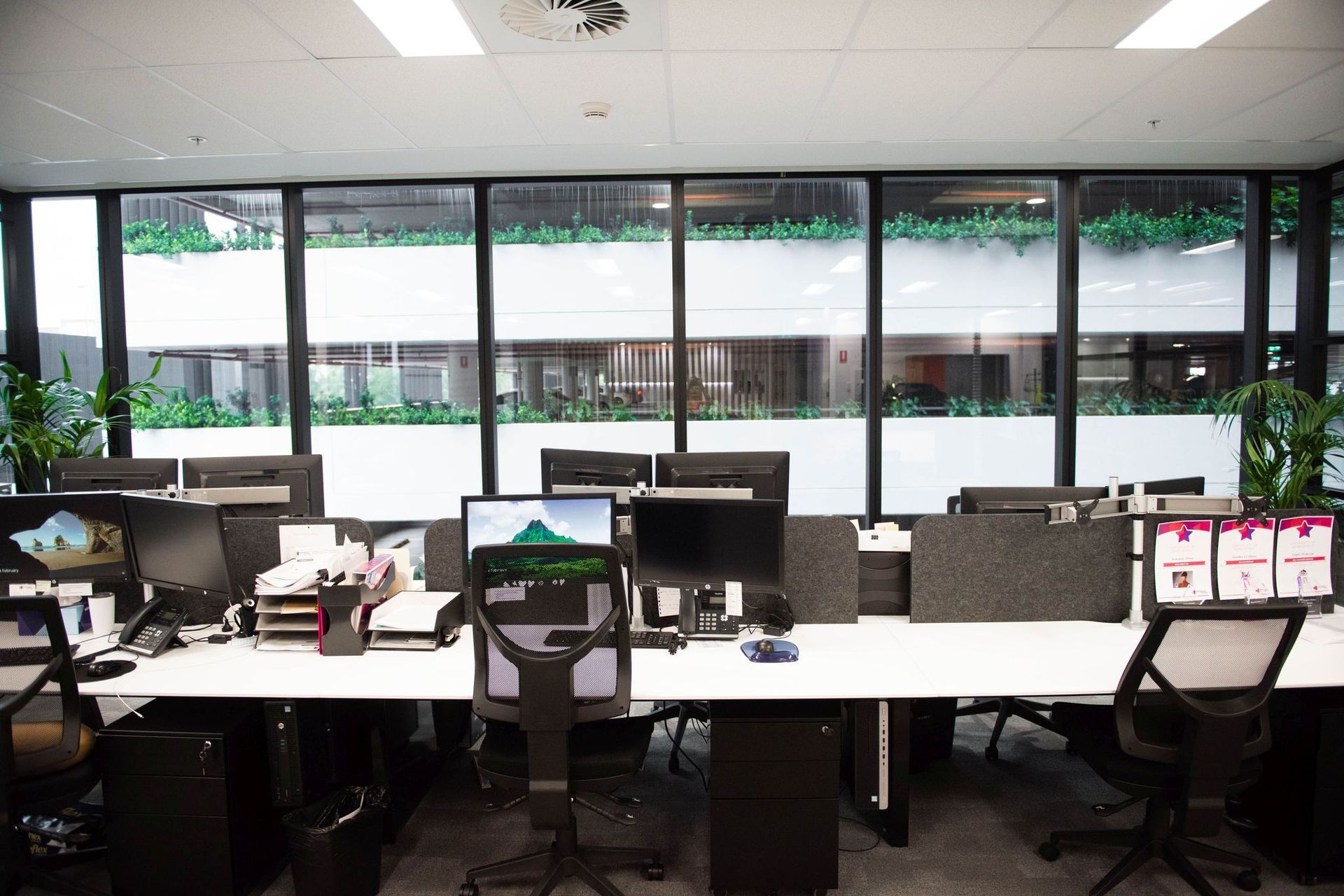Mascot Office