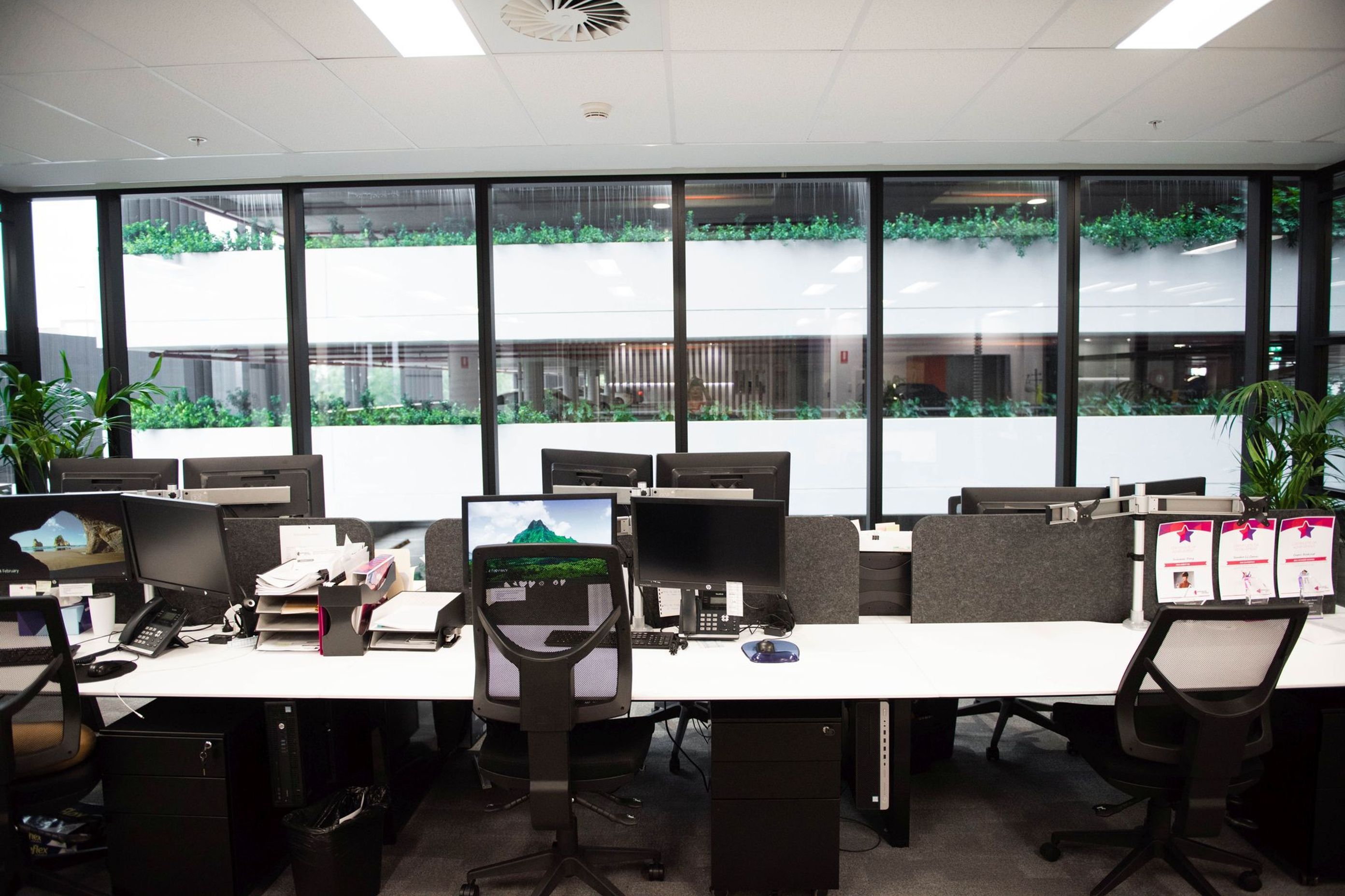 Mascot Office