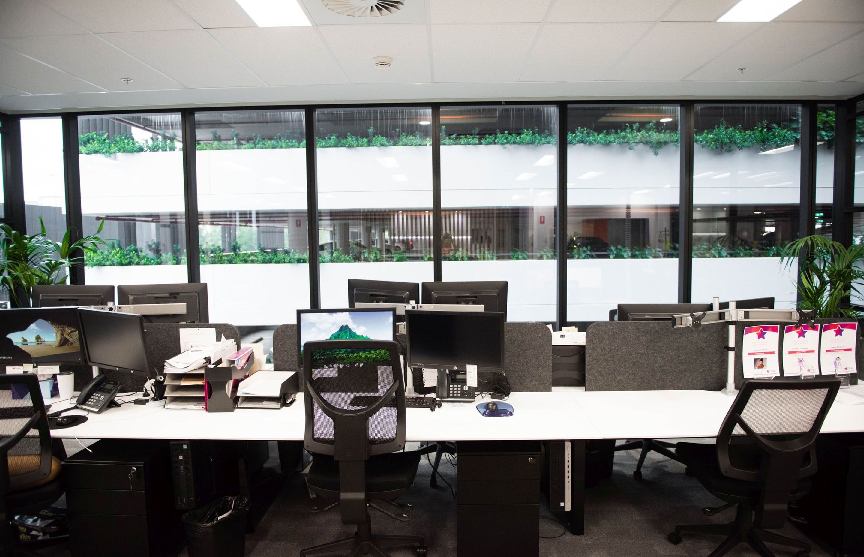 Mascot Office