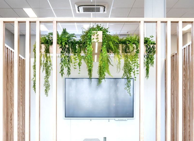 Scipad Tauranga Office Fitout