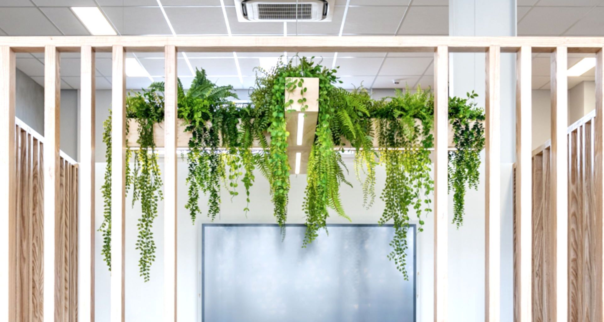 Scipad Tauranga Office Fitout banner