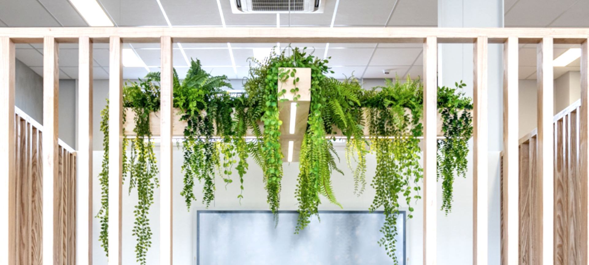 Scipad Tauranga Office Fitout banner