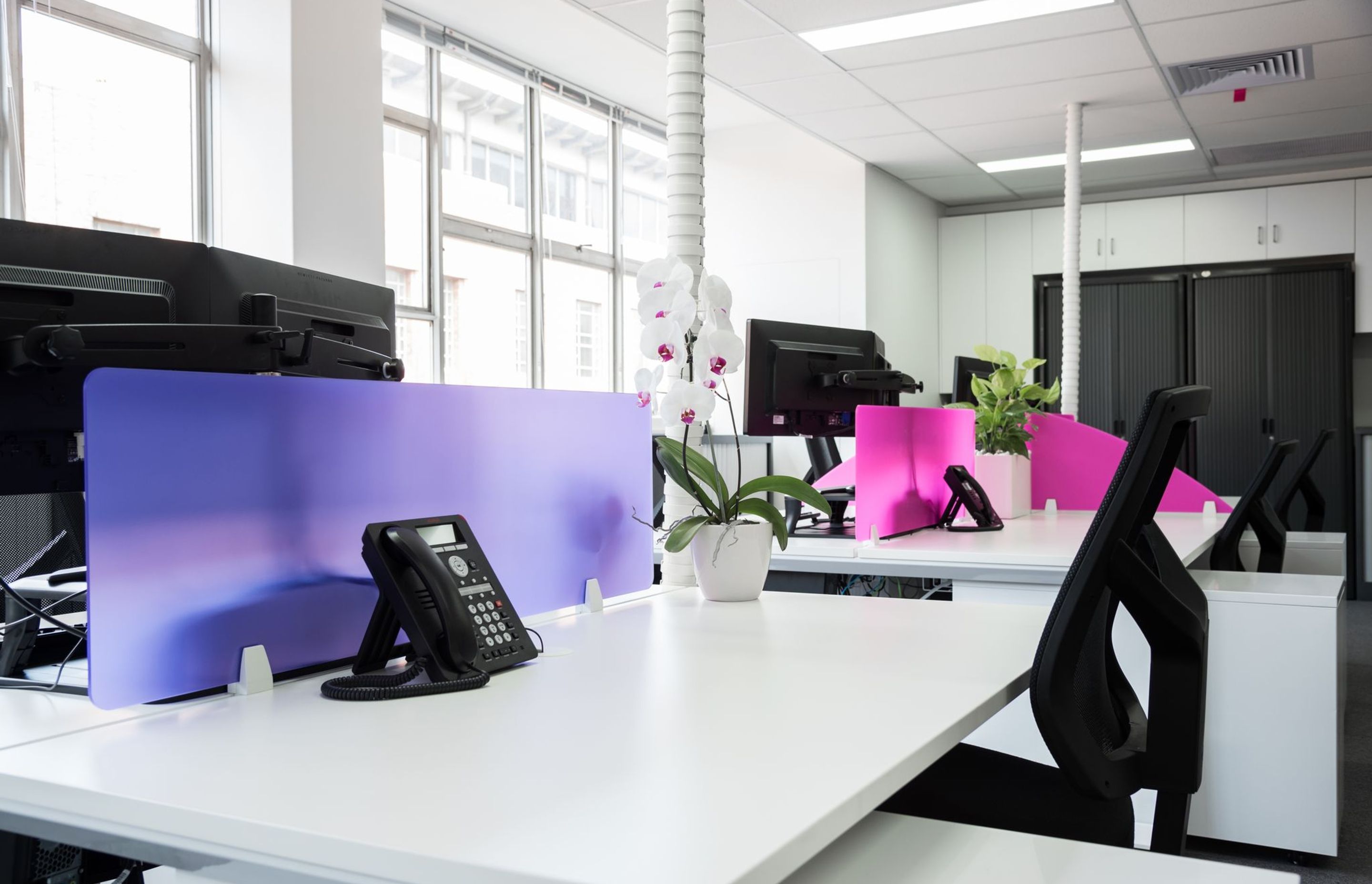 Surry Hills Office