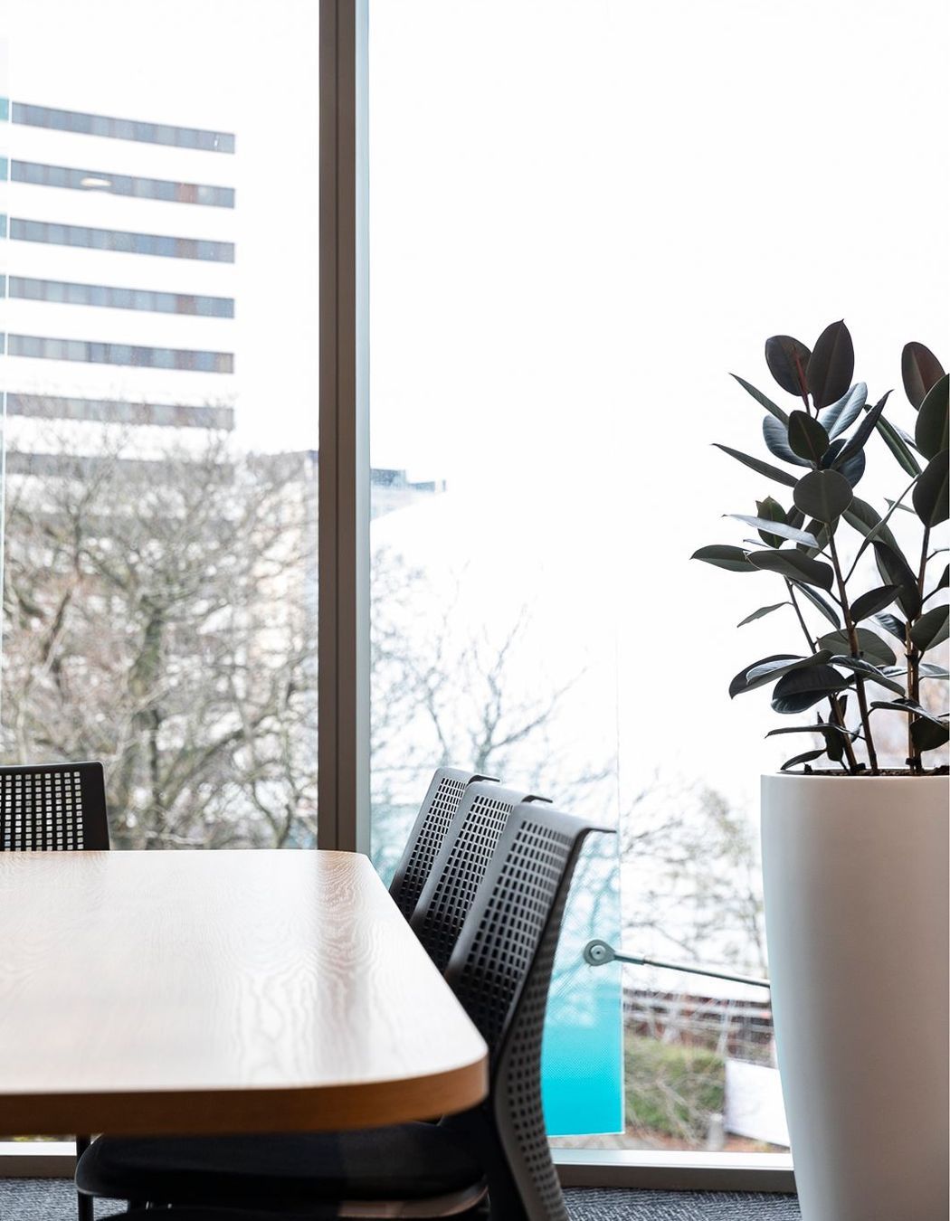 Forsyth Barr Office Renovation