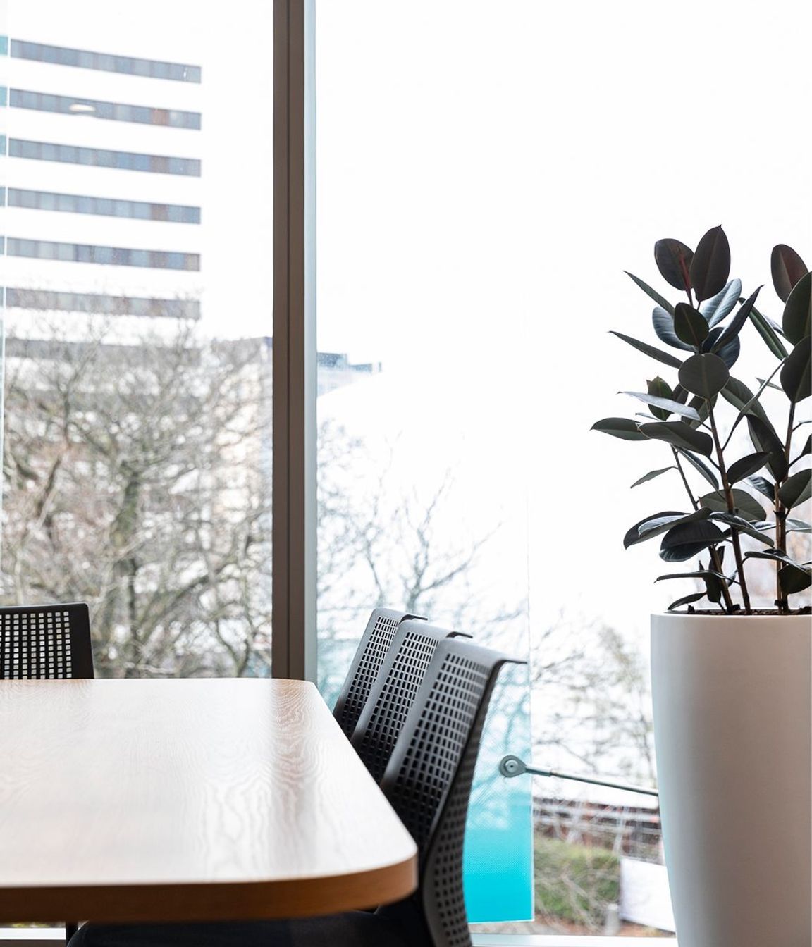 Forsyth Barr Office Renovation