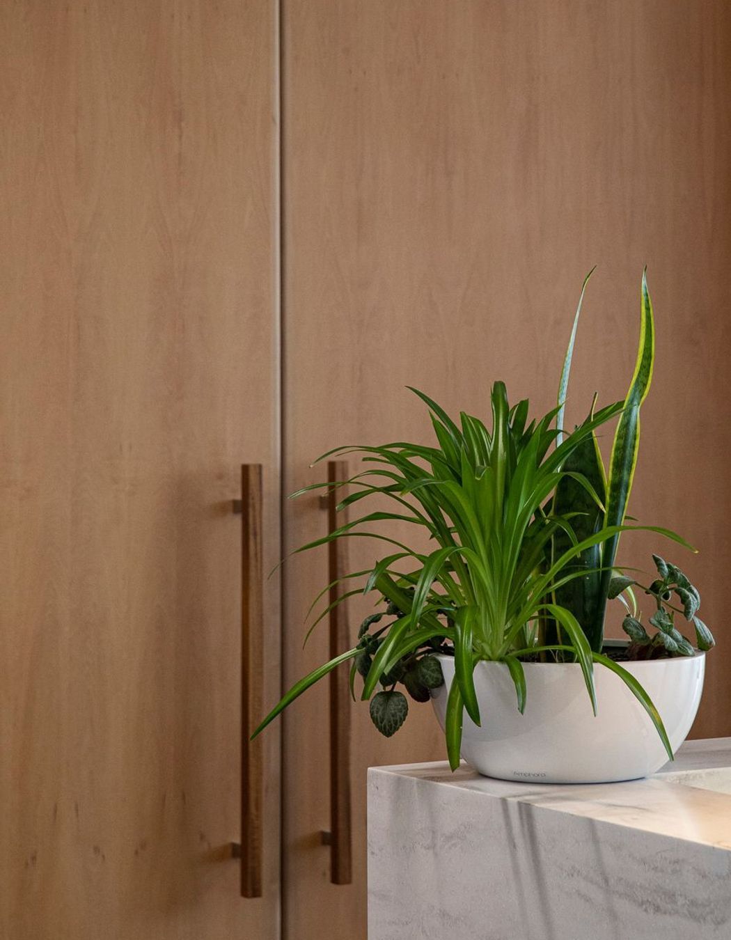 Forsyth Barr Office Renovation