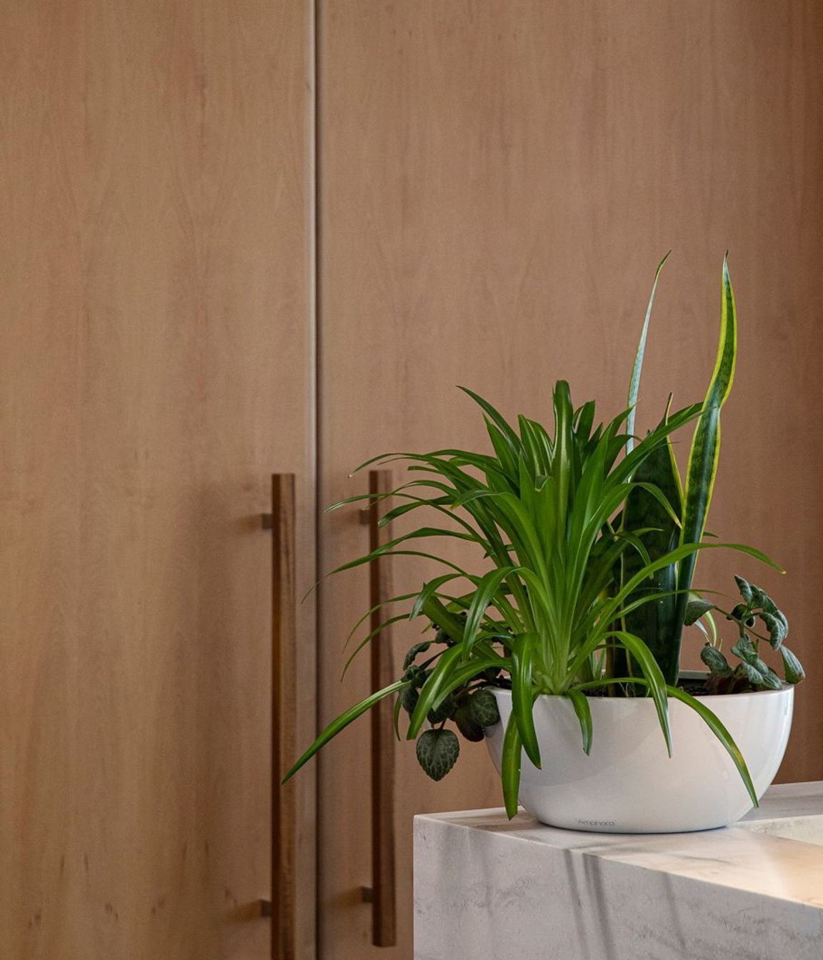 Forsyth Barr Office Renovation
