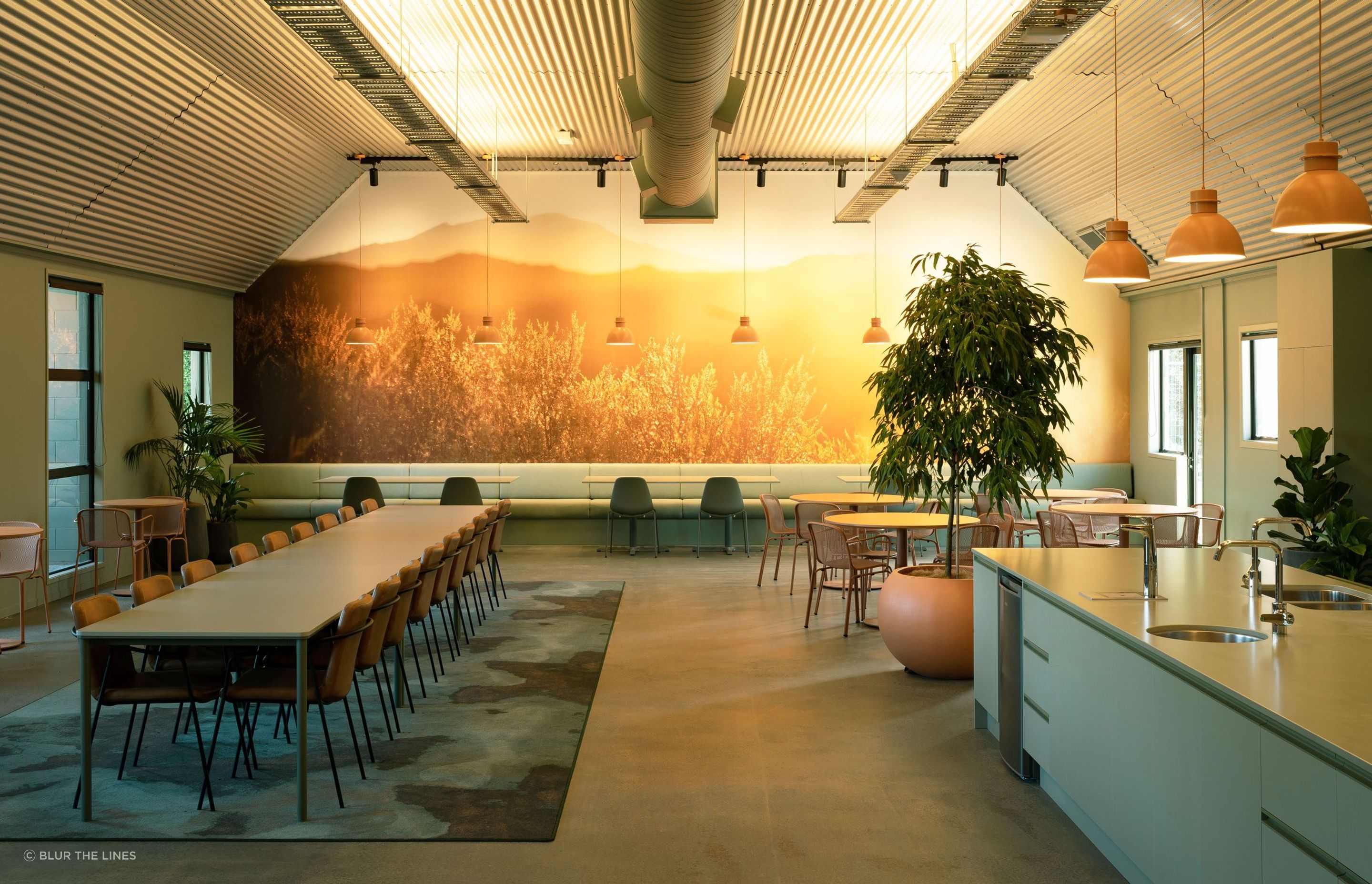 Lunchroomoverallweb-1.jpg