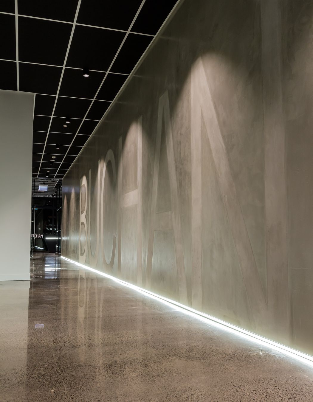 Buchan Group Office Fitout