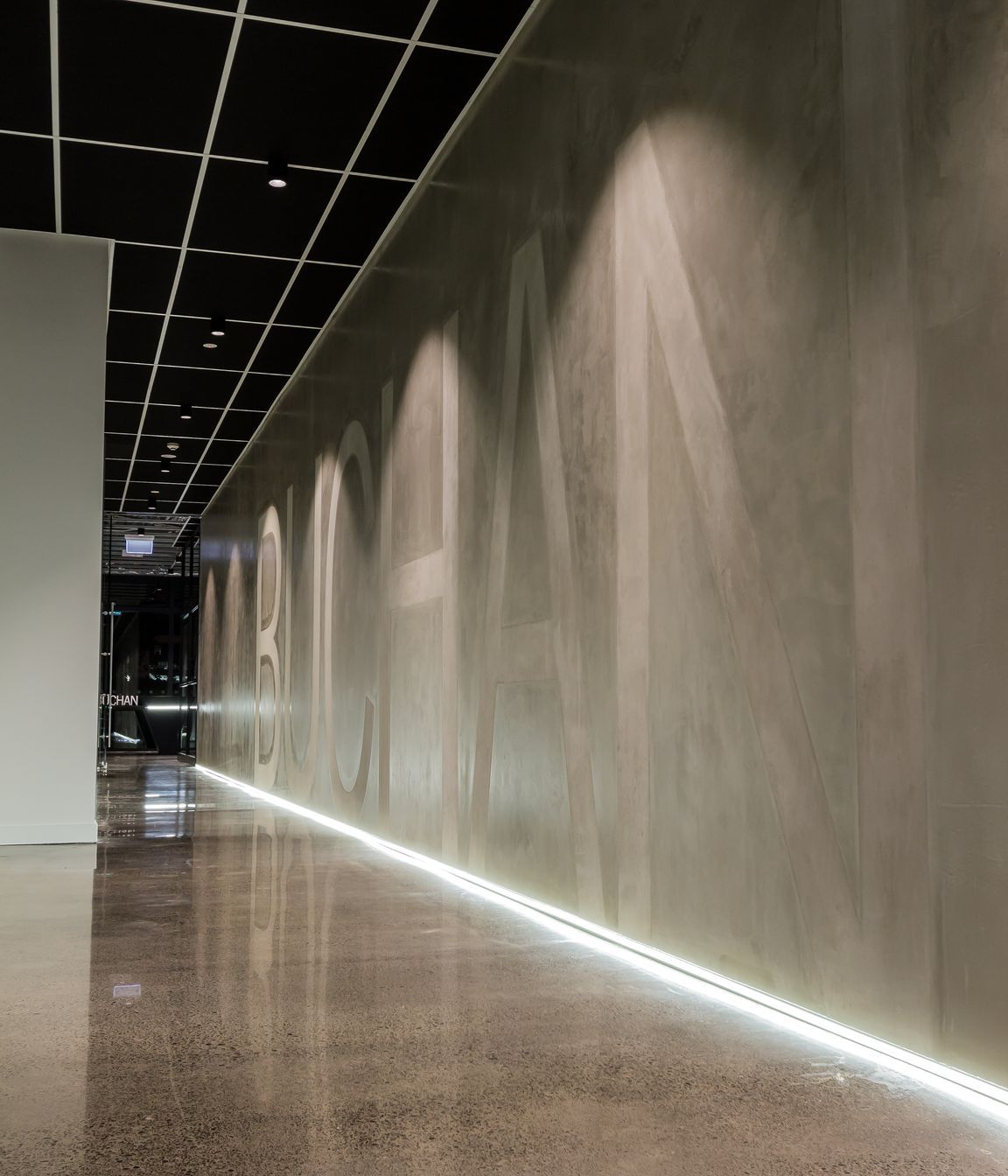 Buchan Group Office Fitout