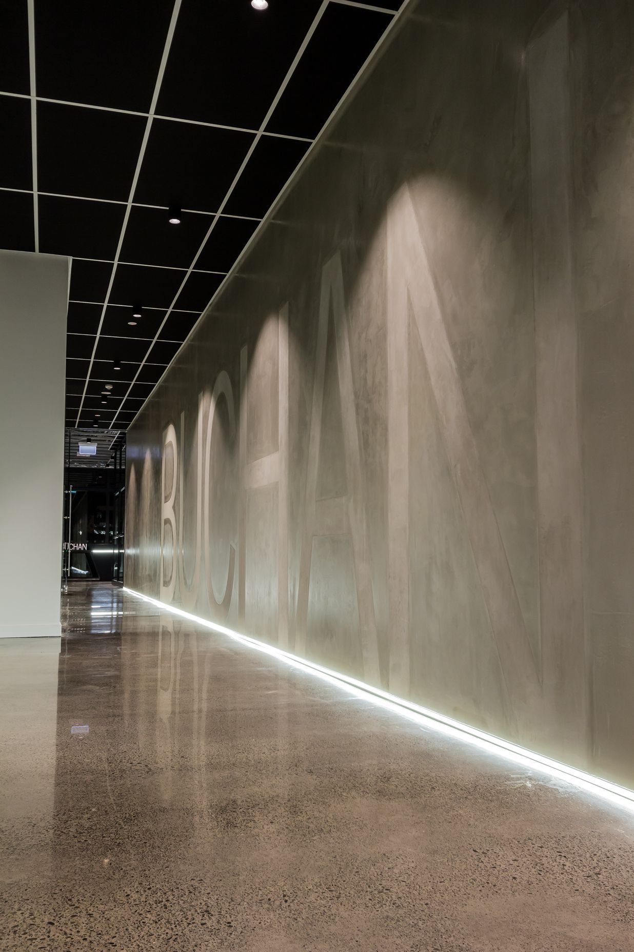 Buchan Group Office Fitout